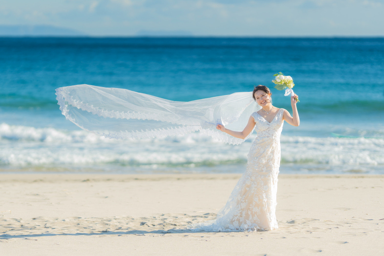 新プランのご紹介