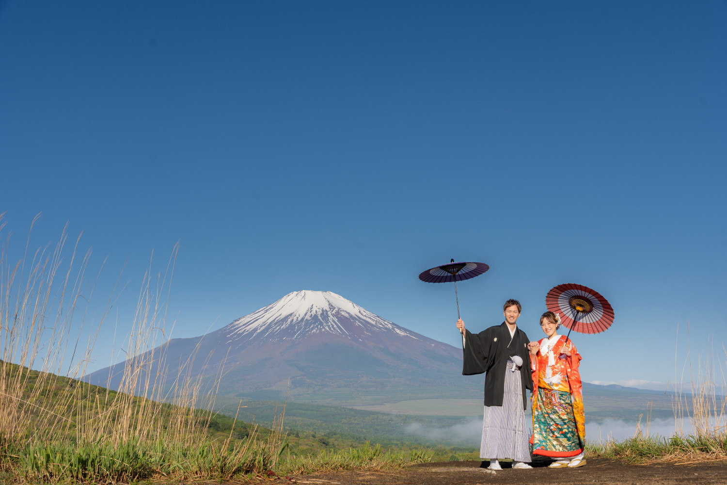 雄大な富士山と