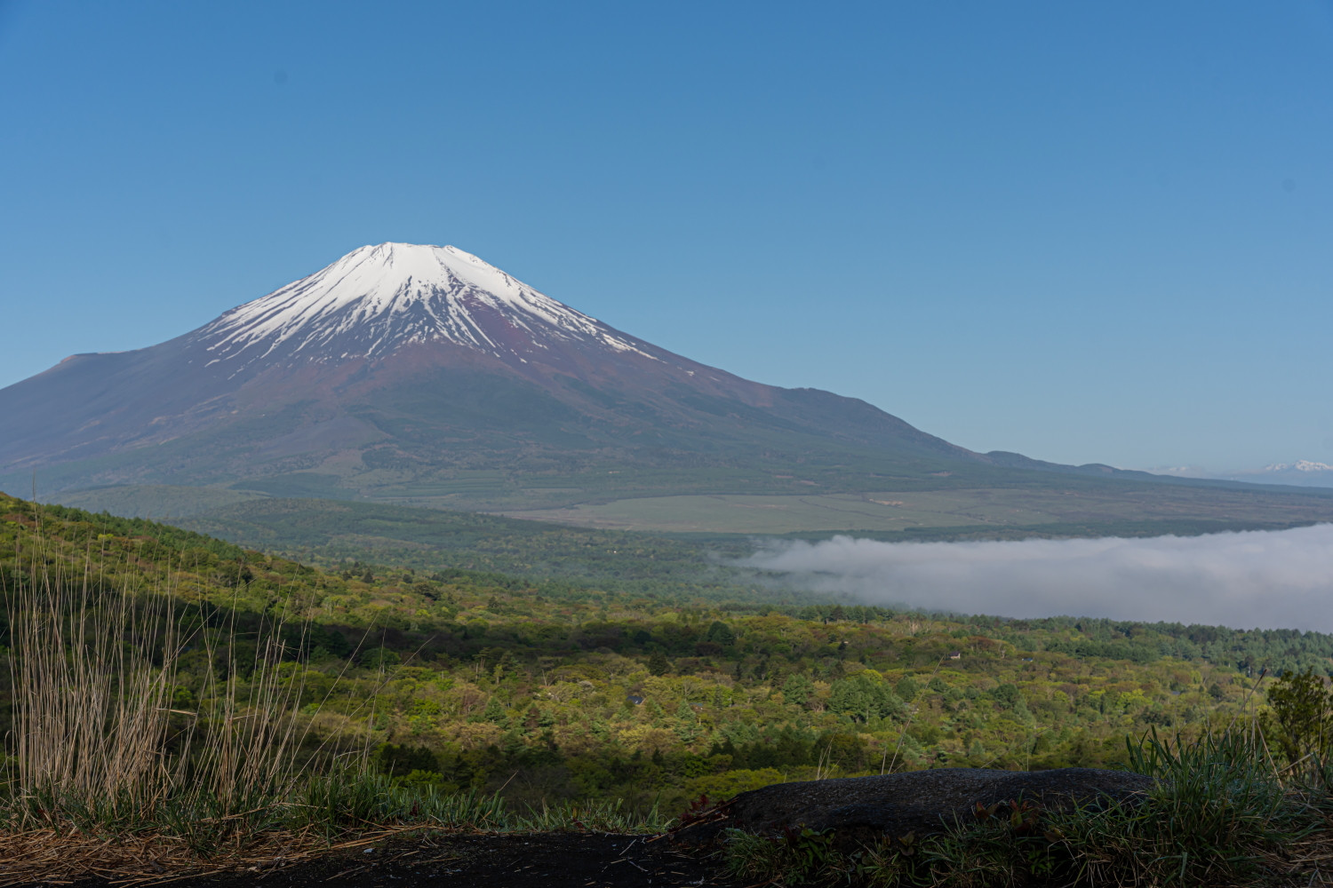 オプション 「富士山保険」