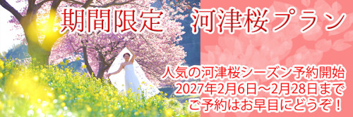 南伊豆河津桜プラン2027.jpg