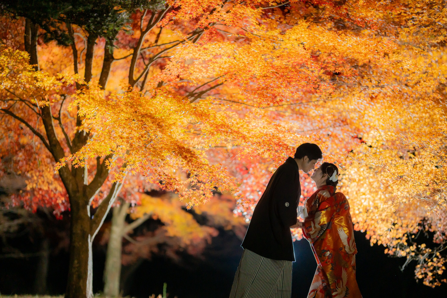 紅葉のナイトロケーション撮影