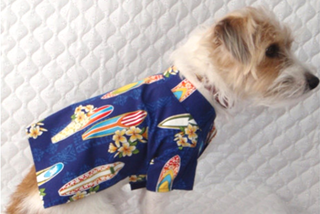 犬のアロハシャツ 小型犬 中型犬用 にハワイの生地を使用した商品を扱う きなこのしっぽ オーダーが可能なセーターも販売 他にはない犬のアロハシャツ を販売