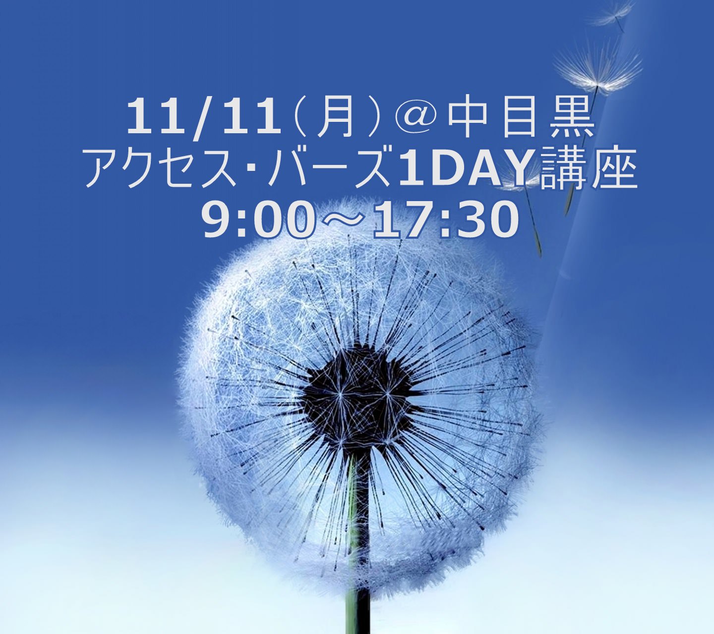 11/11（月）アクセス・バーズ１DAY講座　9:00～17:30