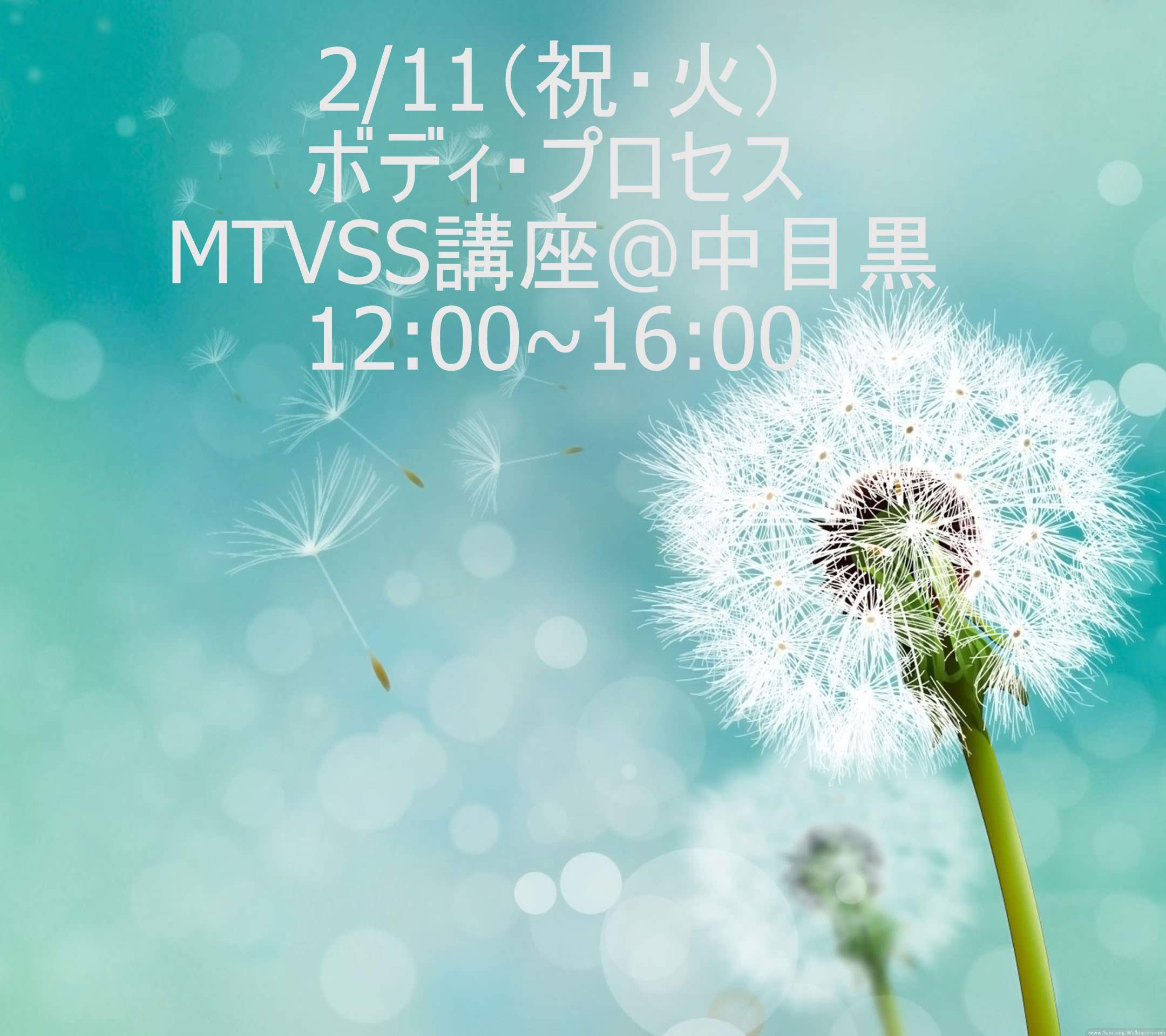 2/11（祝・火）　MTVSS講座　12：00～16：00