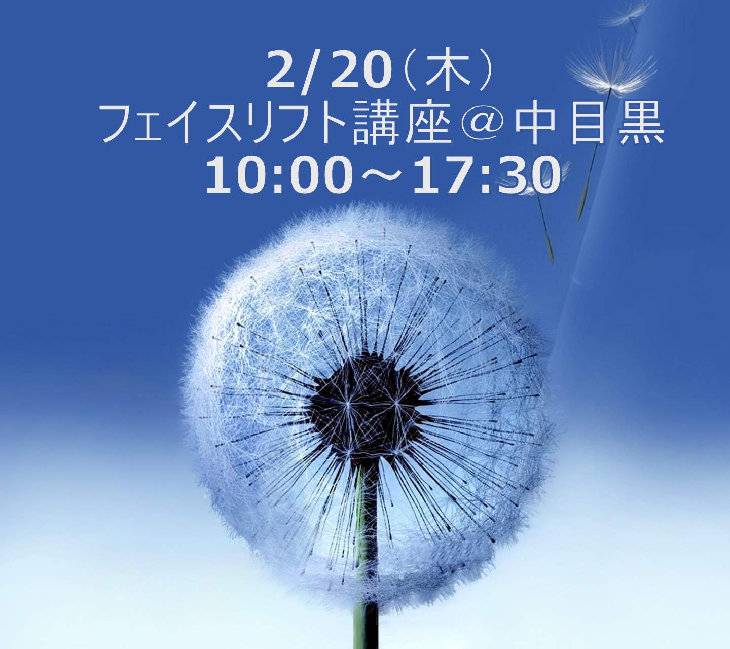 フェイスリフト講座10：00～17：30