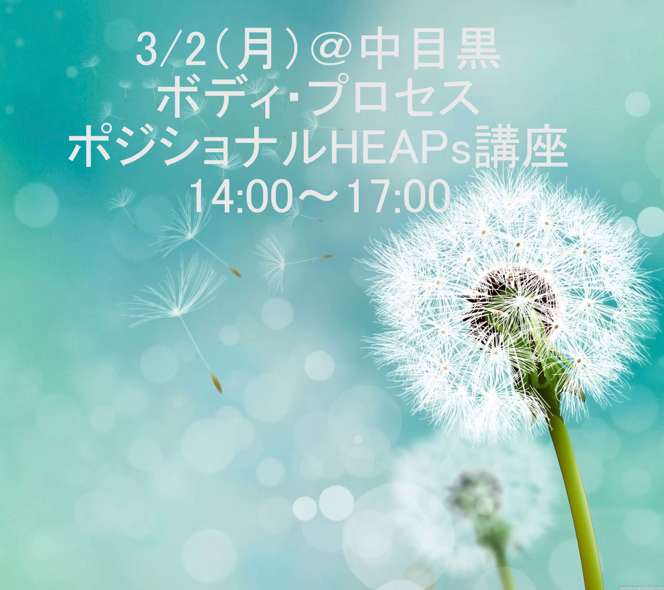 ポジショナルHEAPs講座　14：00～17：00