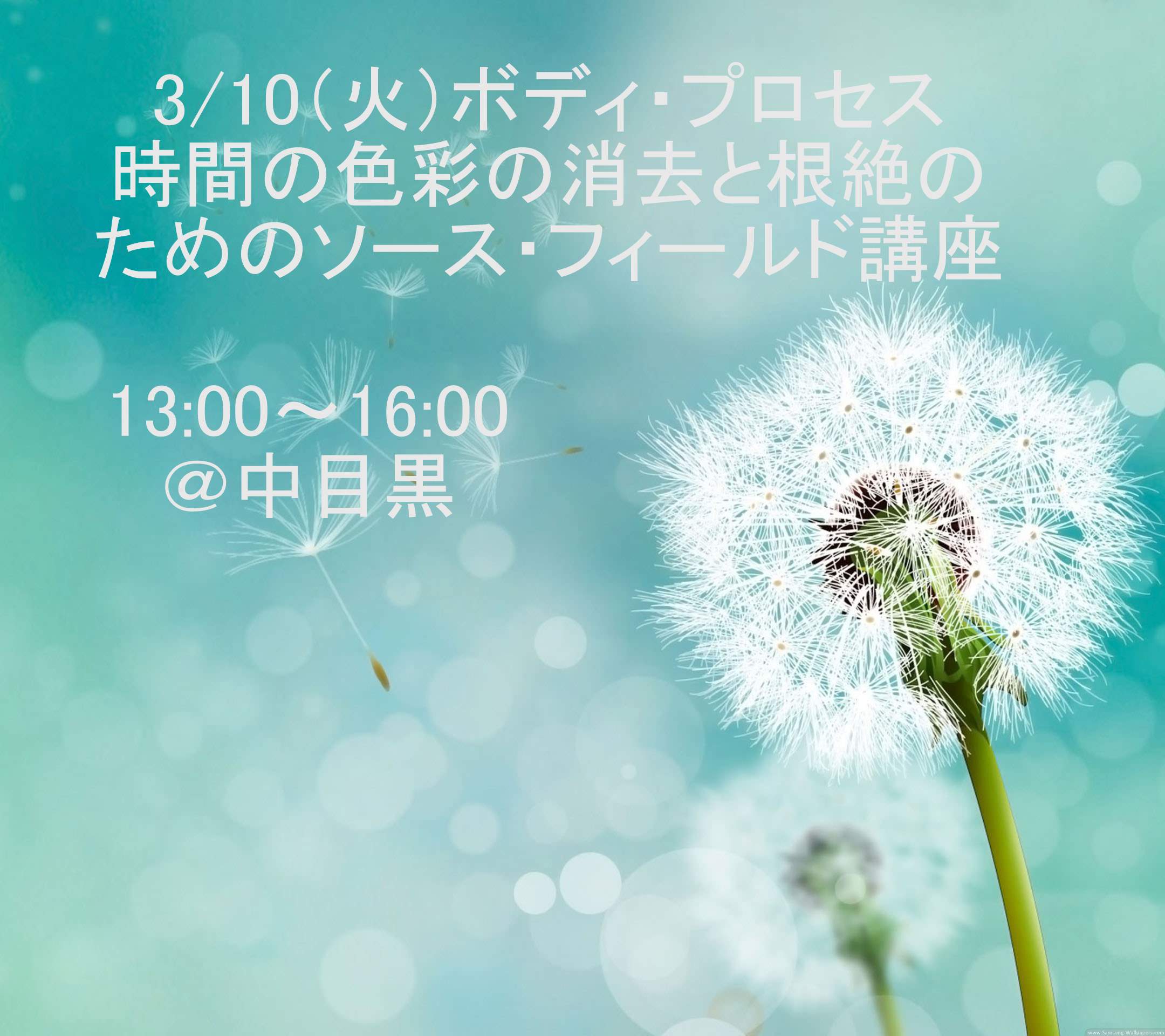 時間の色彩の消去と根絶のためのソース・フィールド講座13:00～16:00