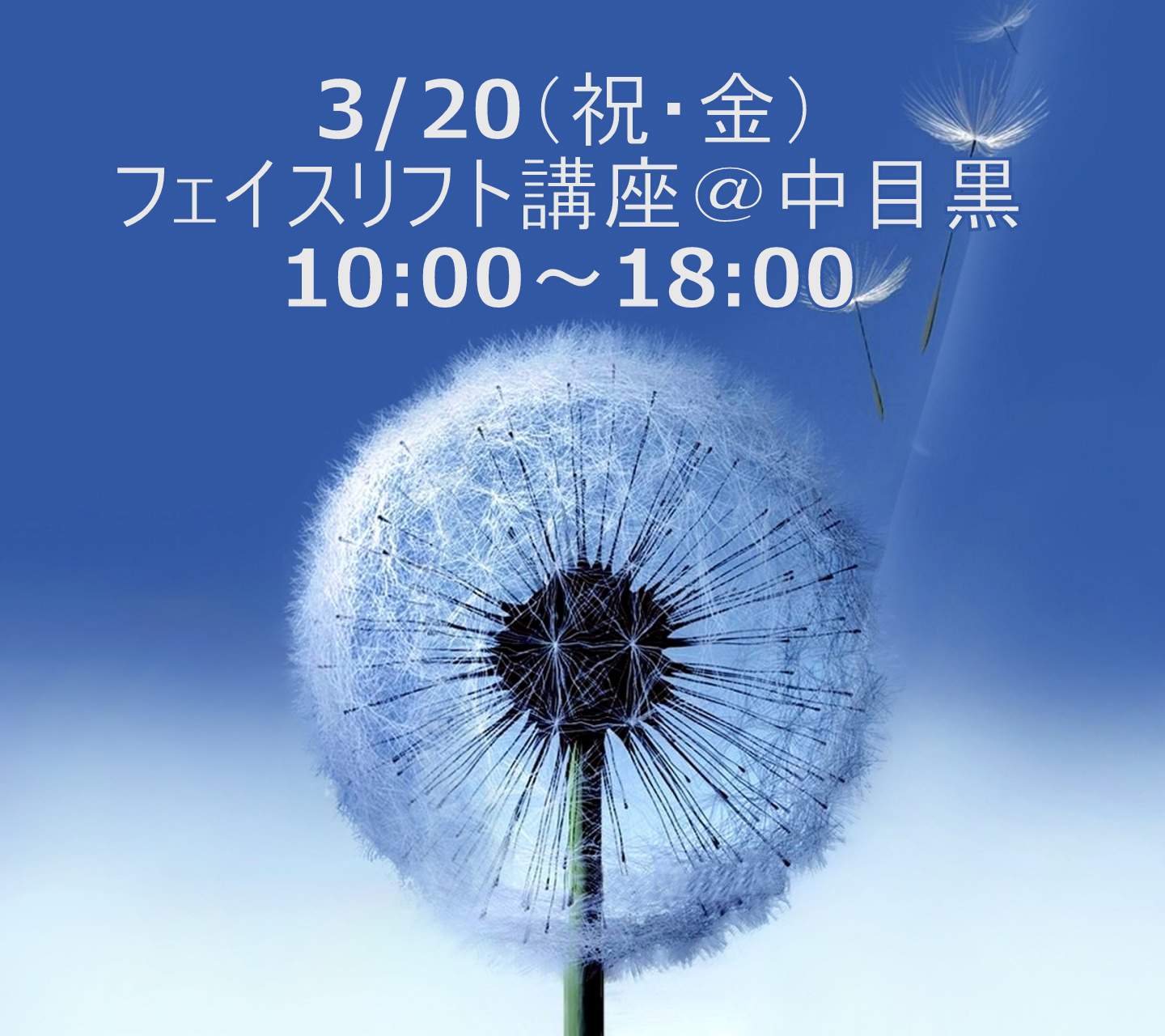 フェイスリフト講座10：00～18：00