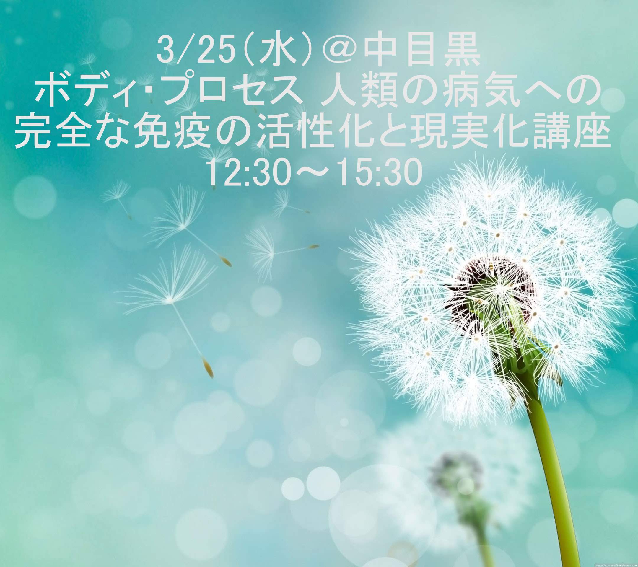 人類の病気への完全な免疫の活性化と現実化講座12：30～15：30