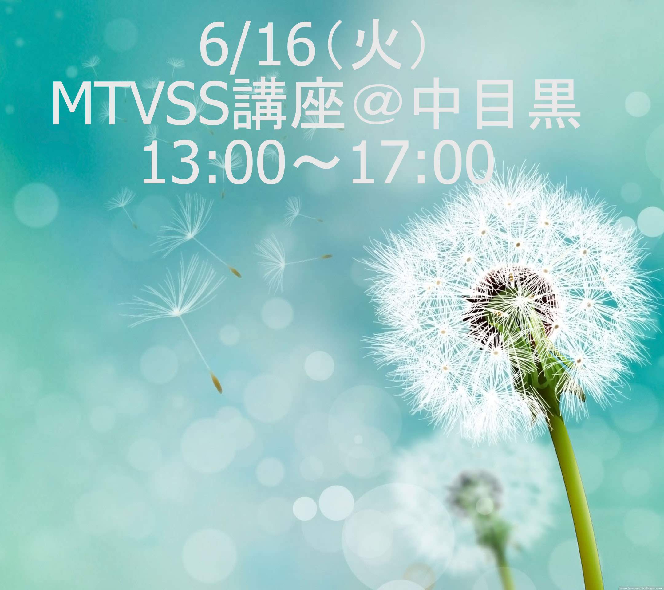 6/16（火）MTVSS講座13：00～17：00