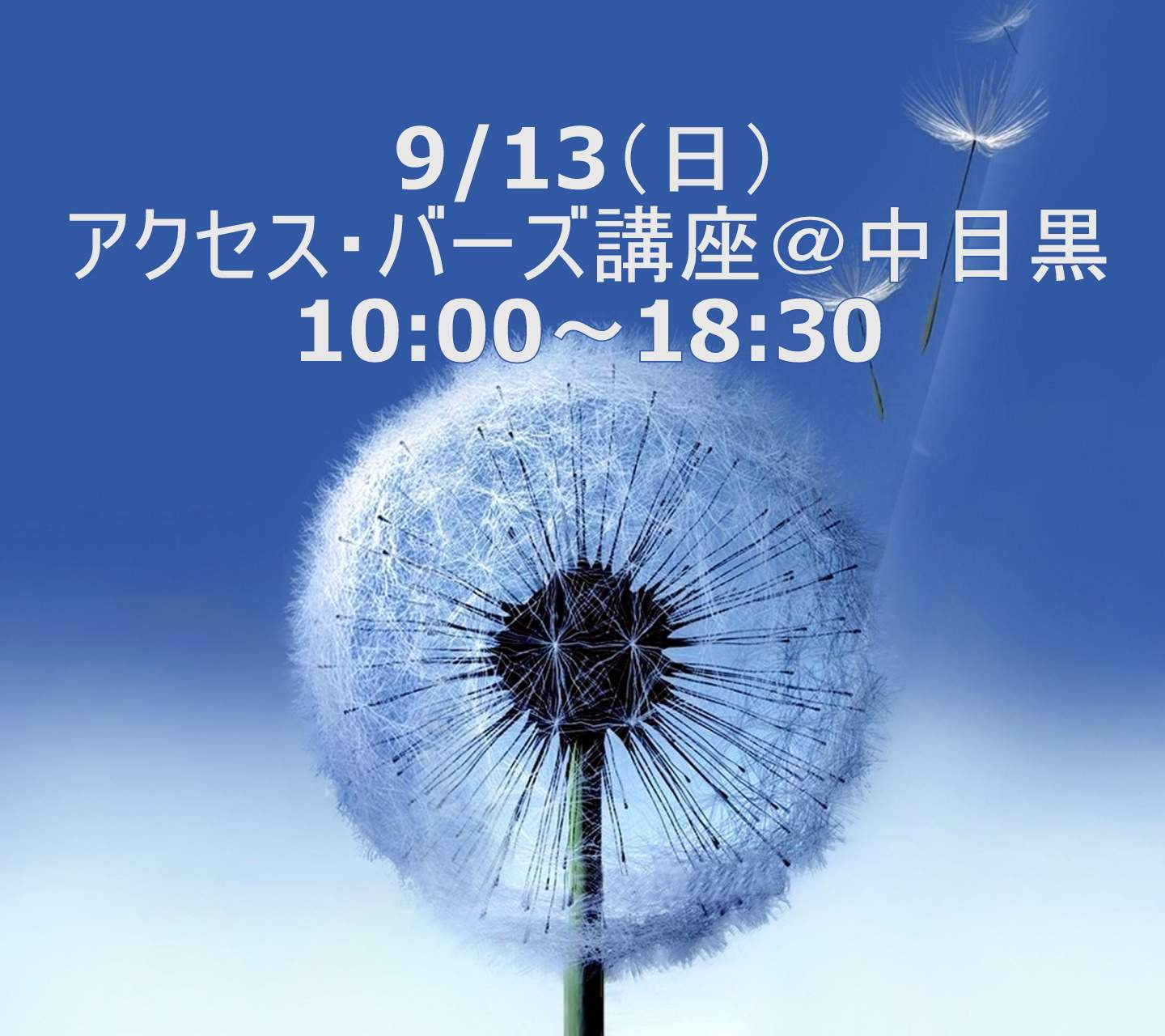 9/13（日）アクセス・バーズ講座10：00～18：30