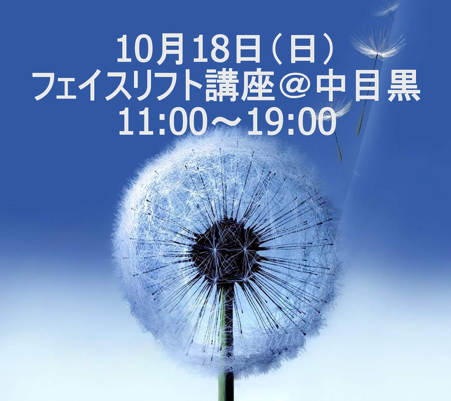 10/18（日）フェイスリフト講座　11:00～19:00