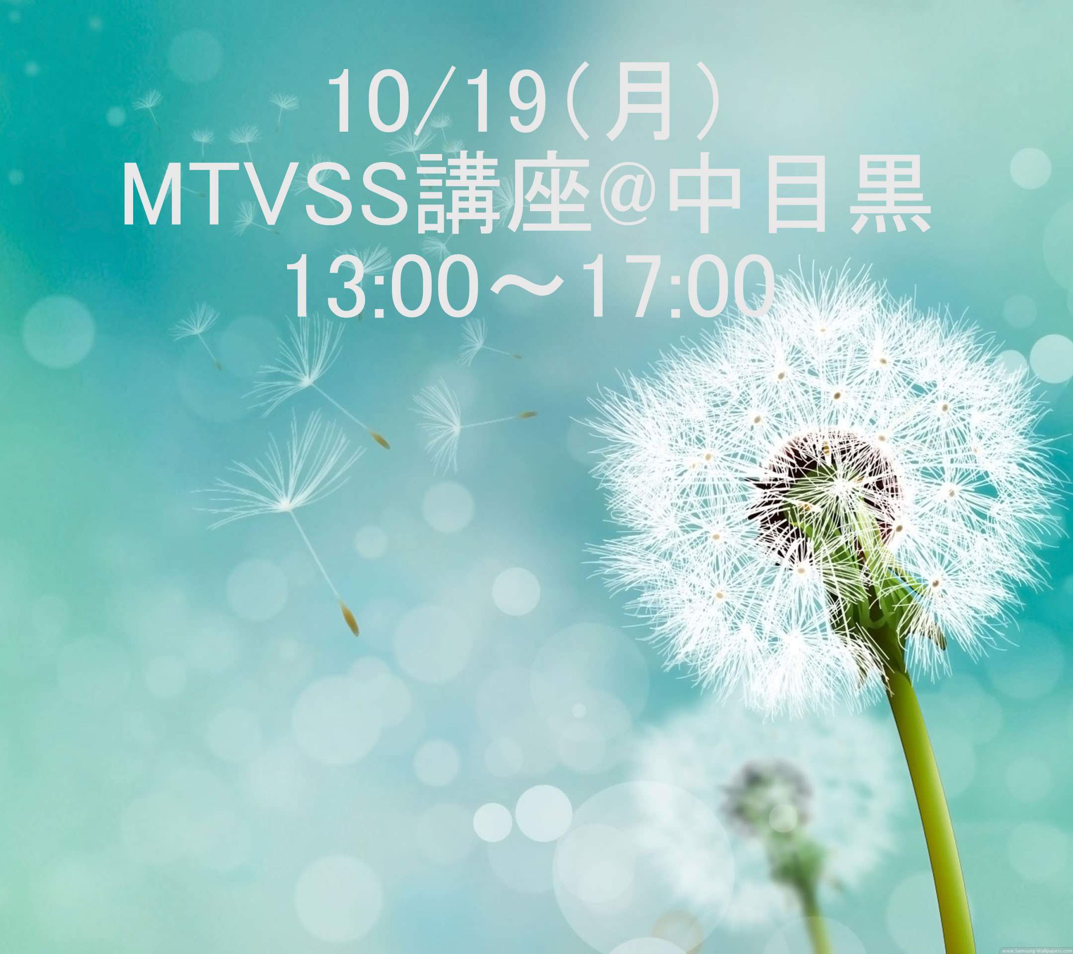10/19（月）MTVSS講座　13：00～17：00