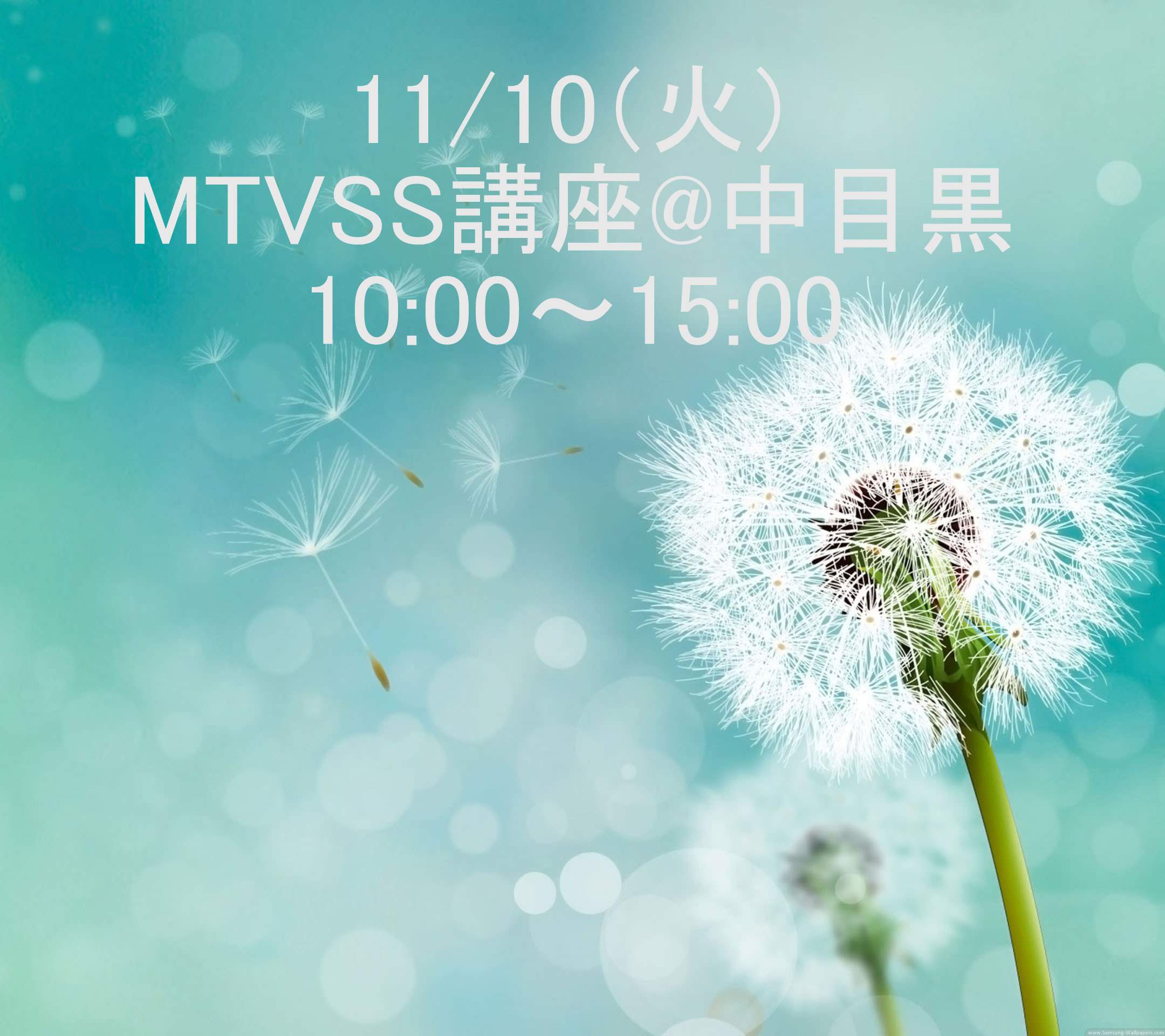11/10（日）MTVSS講座　10:00～15:00