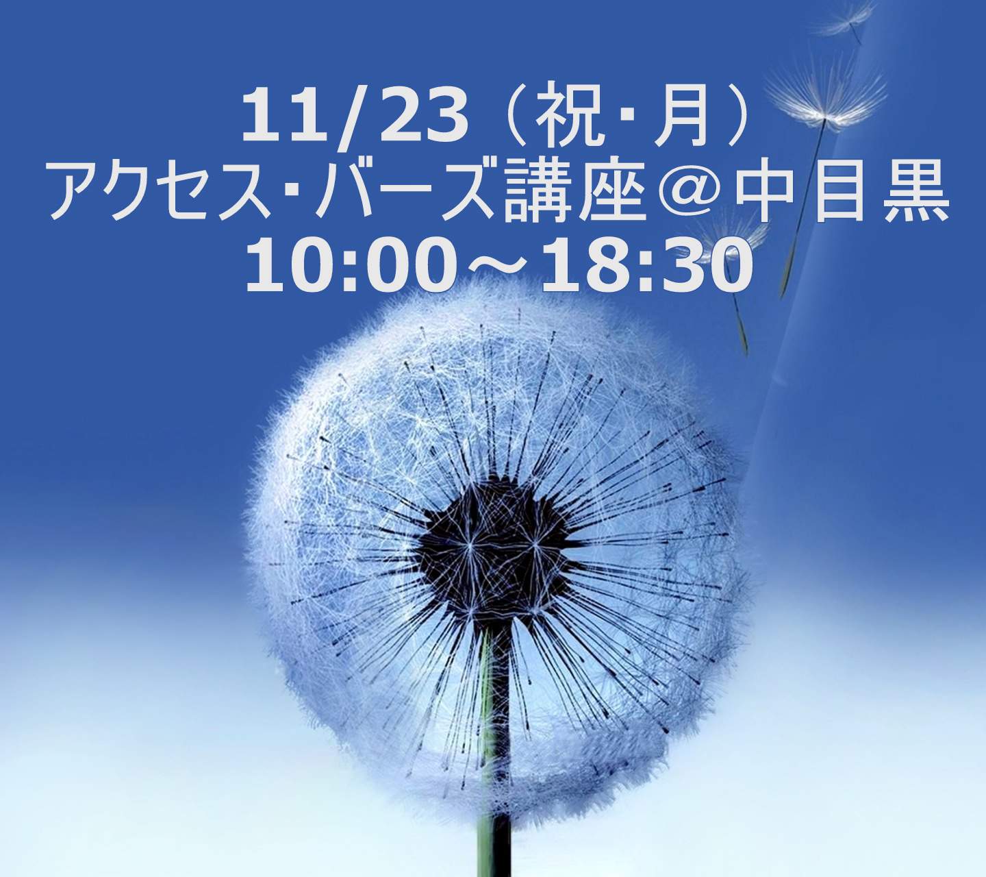 11/22（日）アクセス・バーズ１DAY講座　10:00～17:30