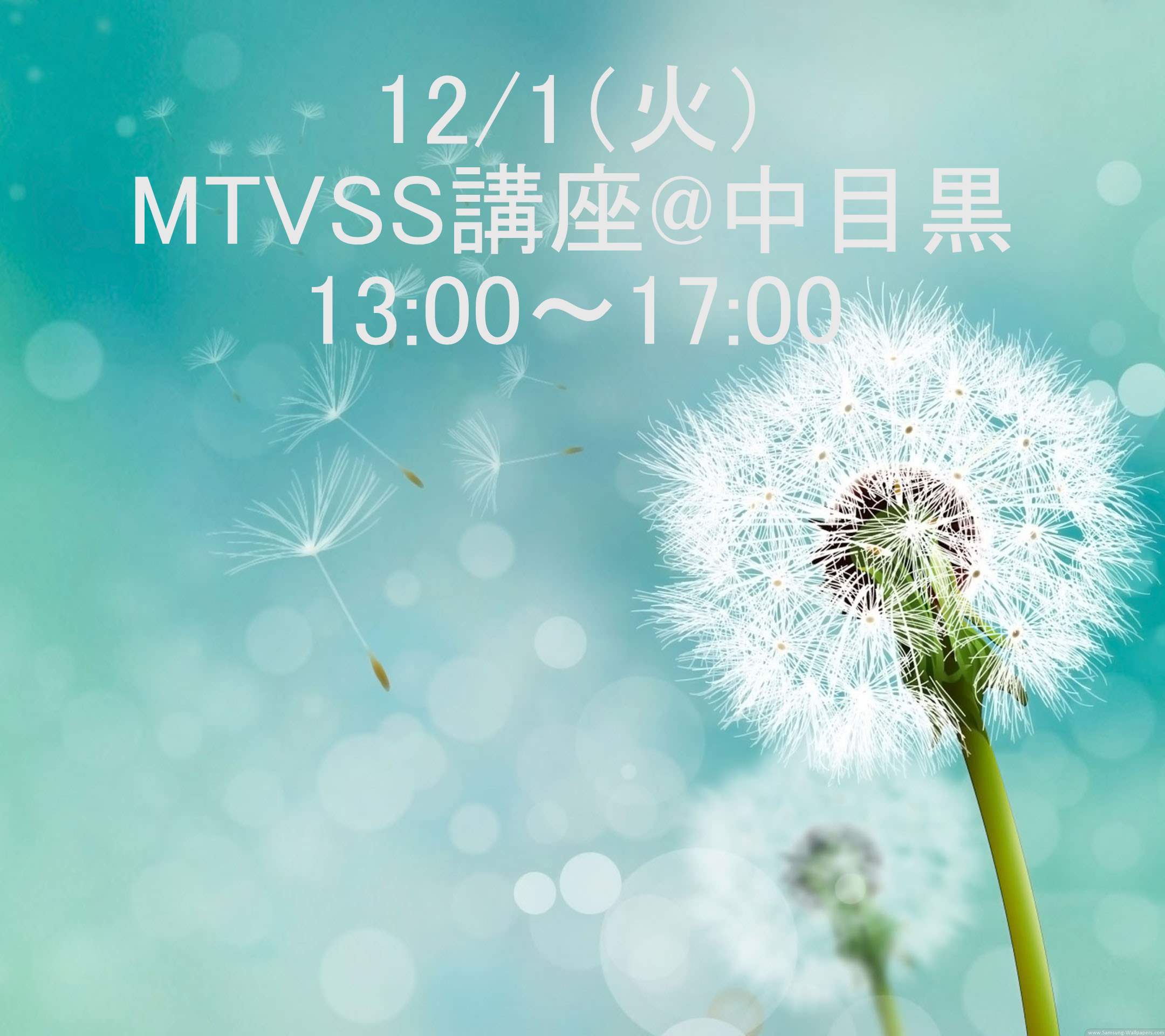 12月1日（火）MTVSS講座13：00～17：00