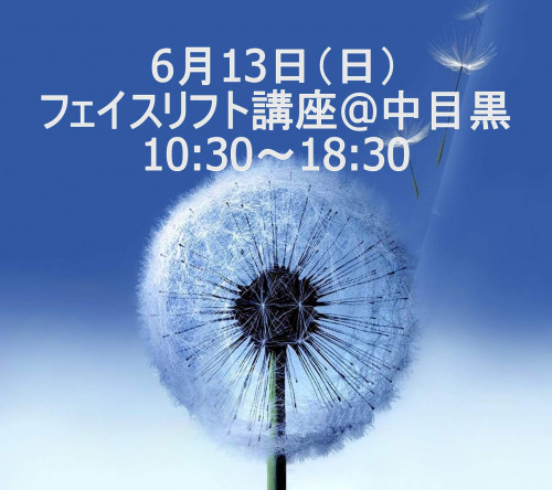 6/13（日）フェイスリフト講座10:30～18：30