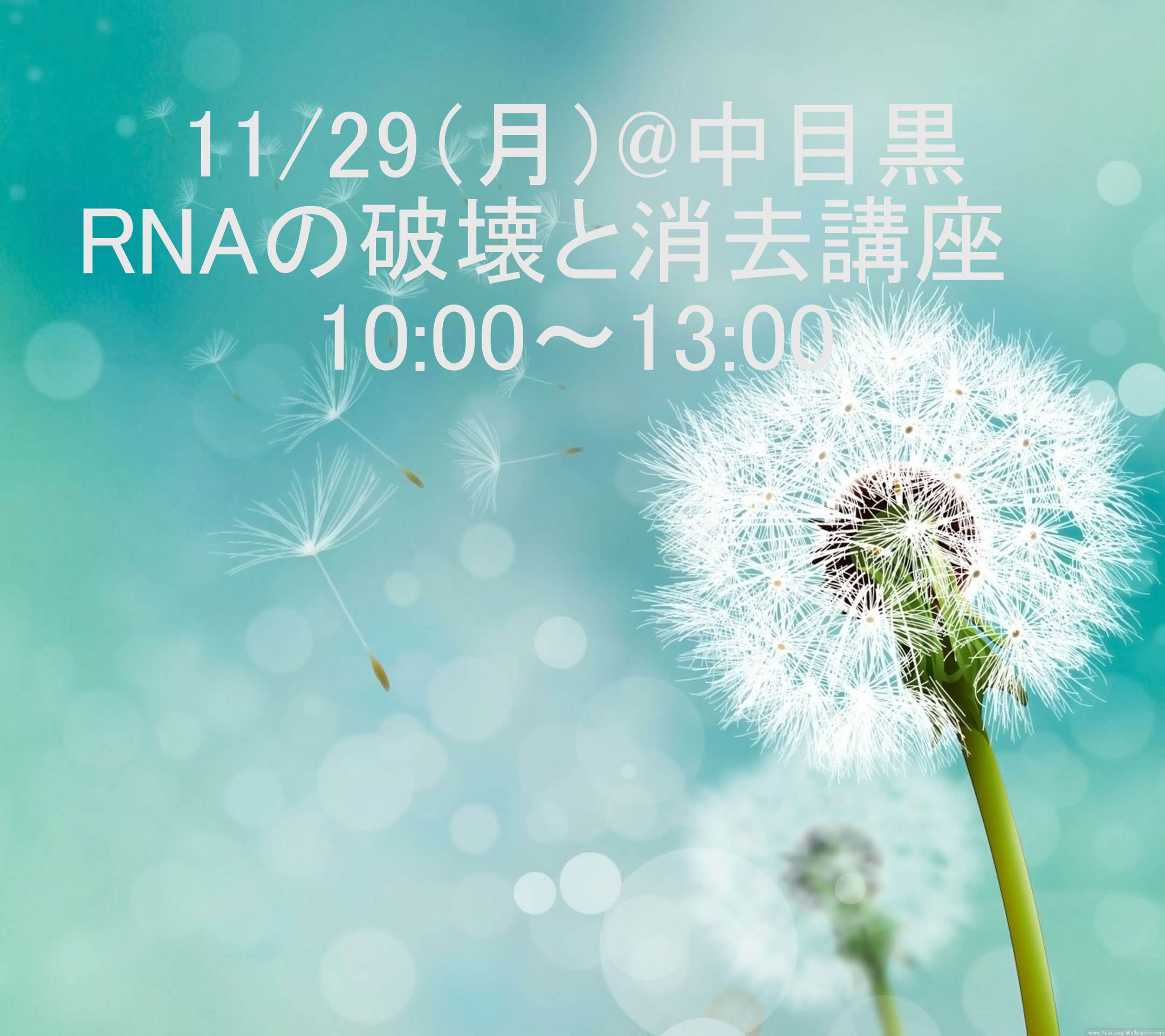 RNAの破壊と消去講座 10:00～13:00