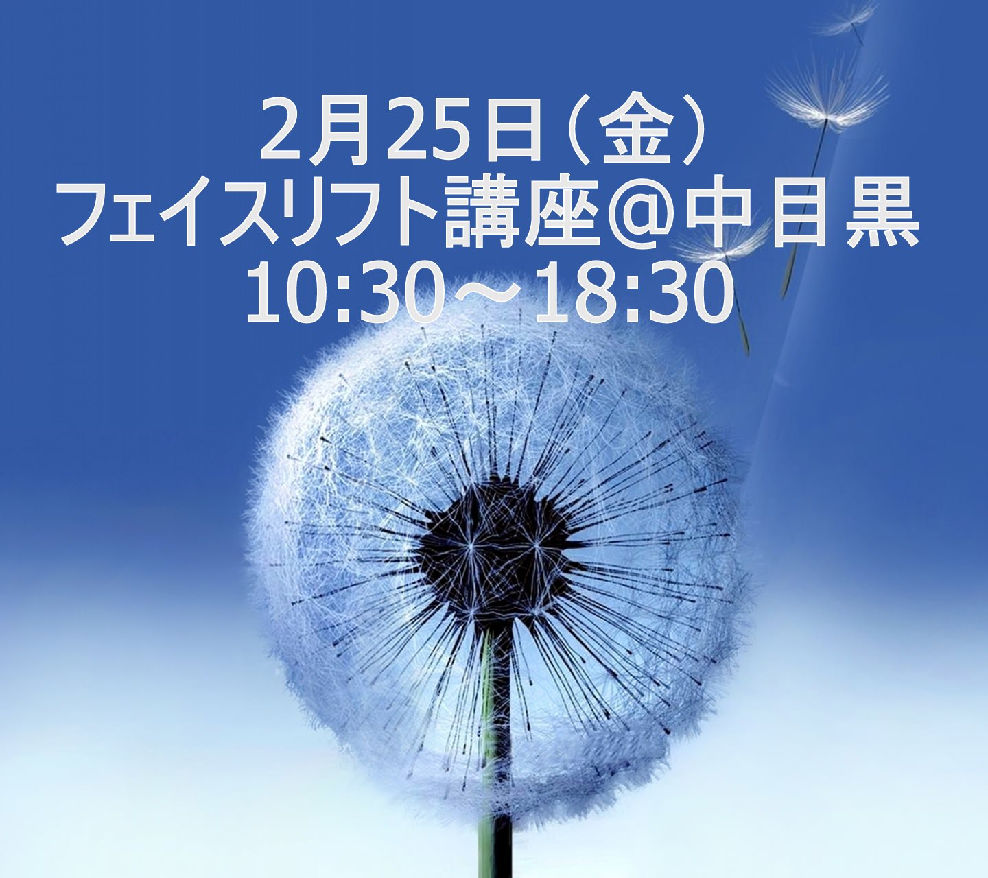 フェイスリフト講座 10:30~18:30