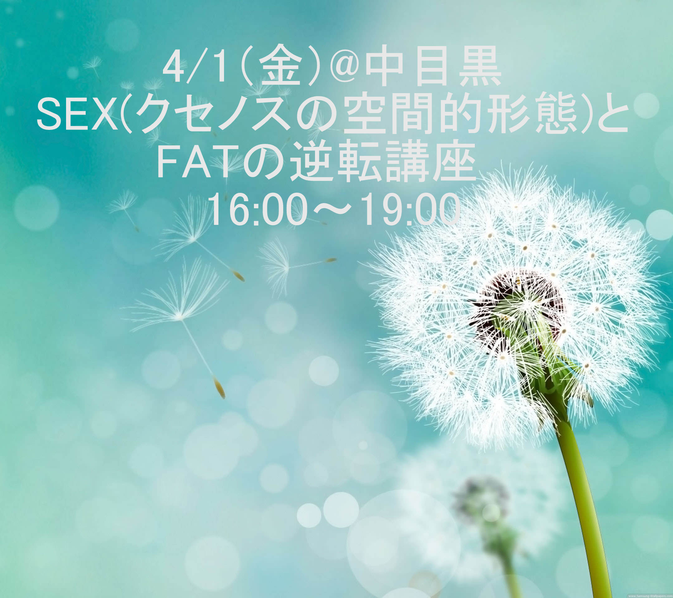 SEX（クセノスの空間的形態)とFATの逆転講座 16:00～19:00