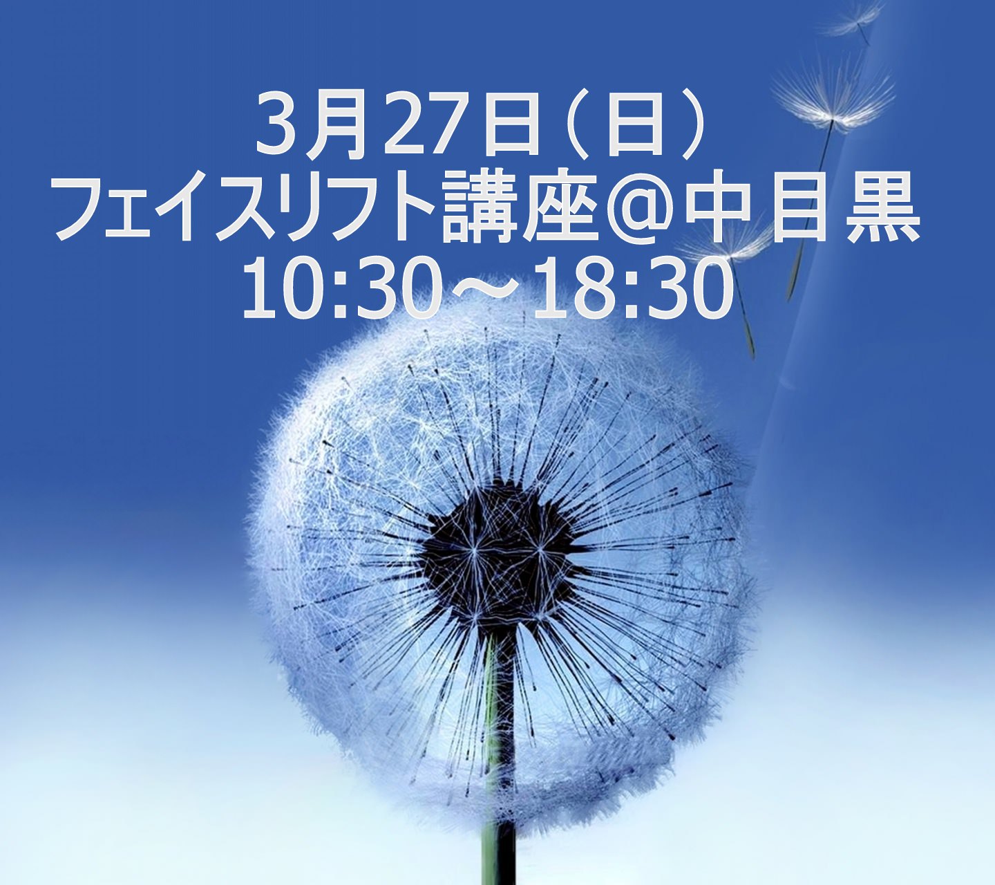 フェイスリフト講座　10:30～18:30