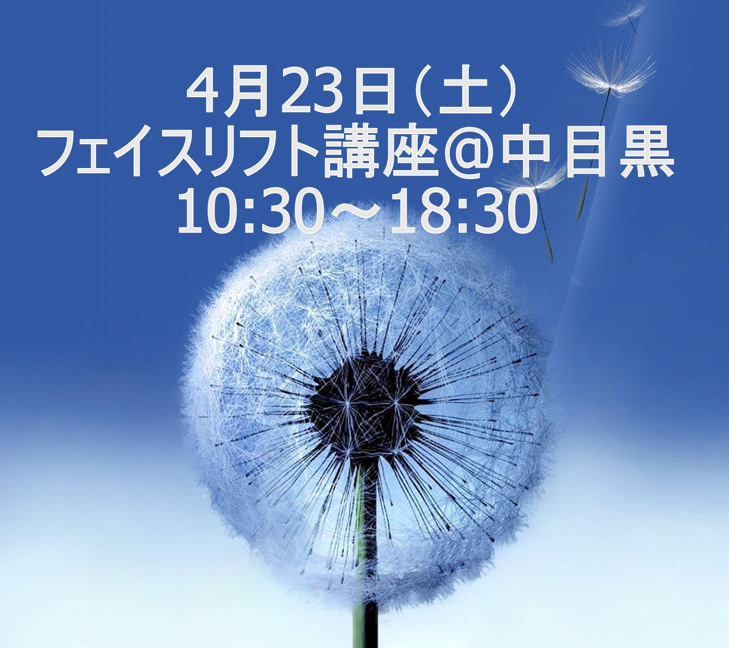 フェイスリフト講座　10:30～18:30