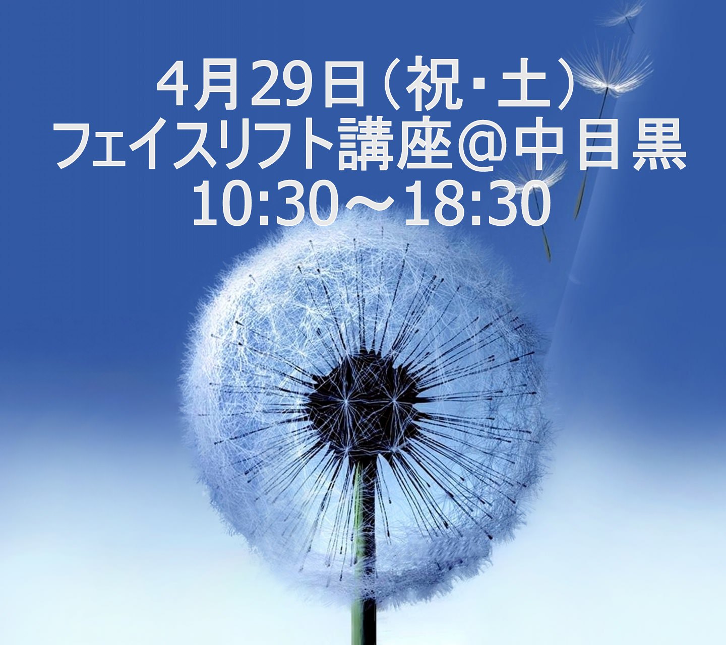 フェイスリフト講座 10:30～18:30 