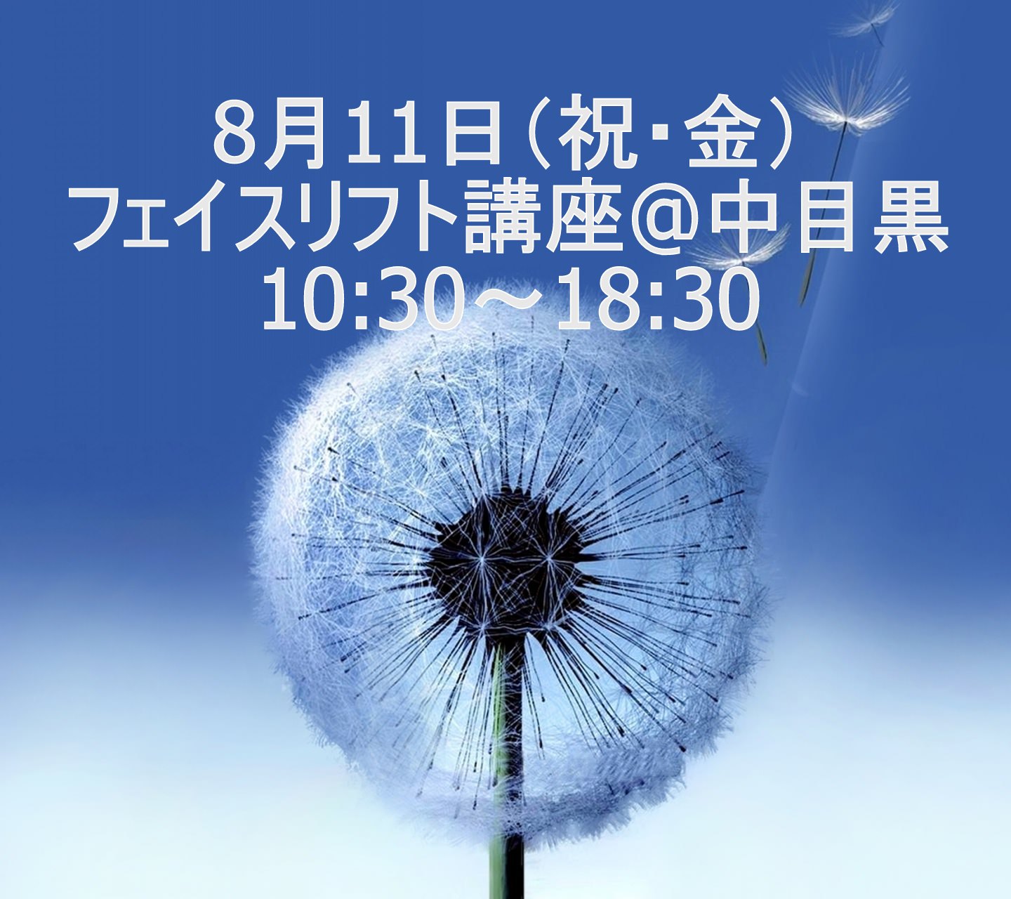 フェイスリフト講座　10:30～18:30