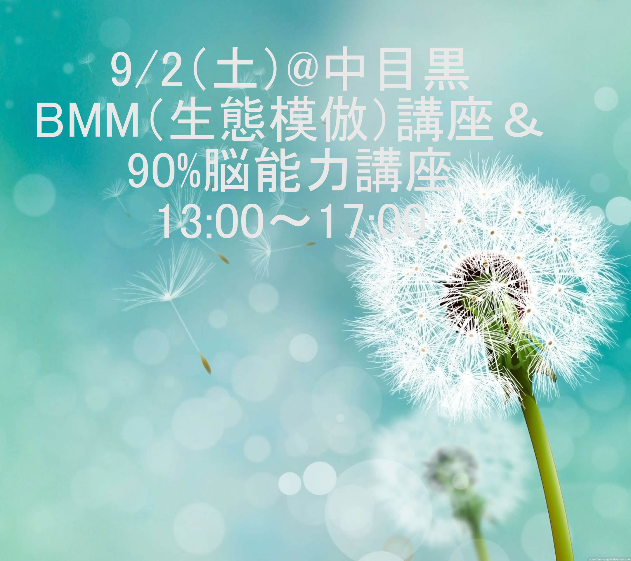 BMM講座&90%脳能力講座 13:00～17:00