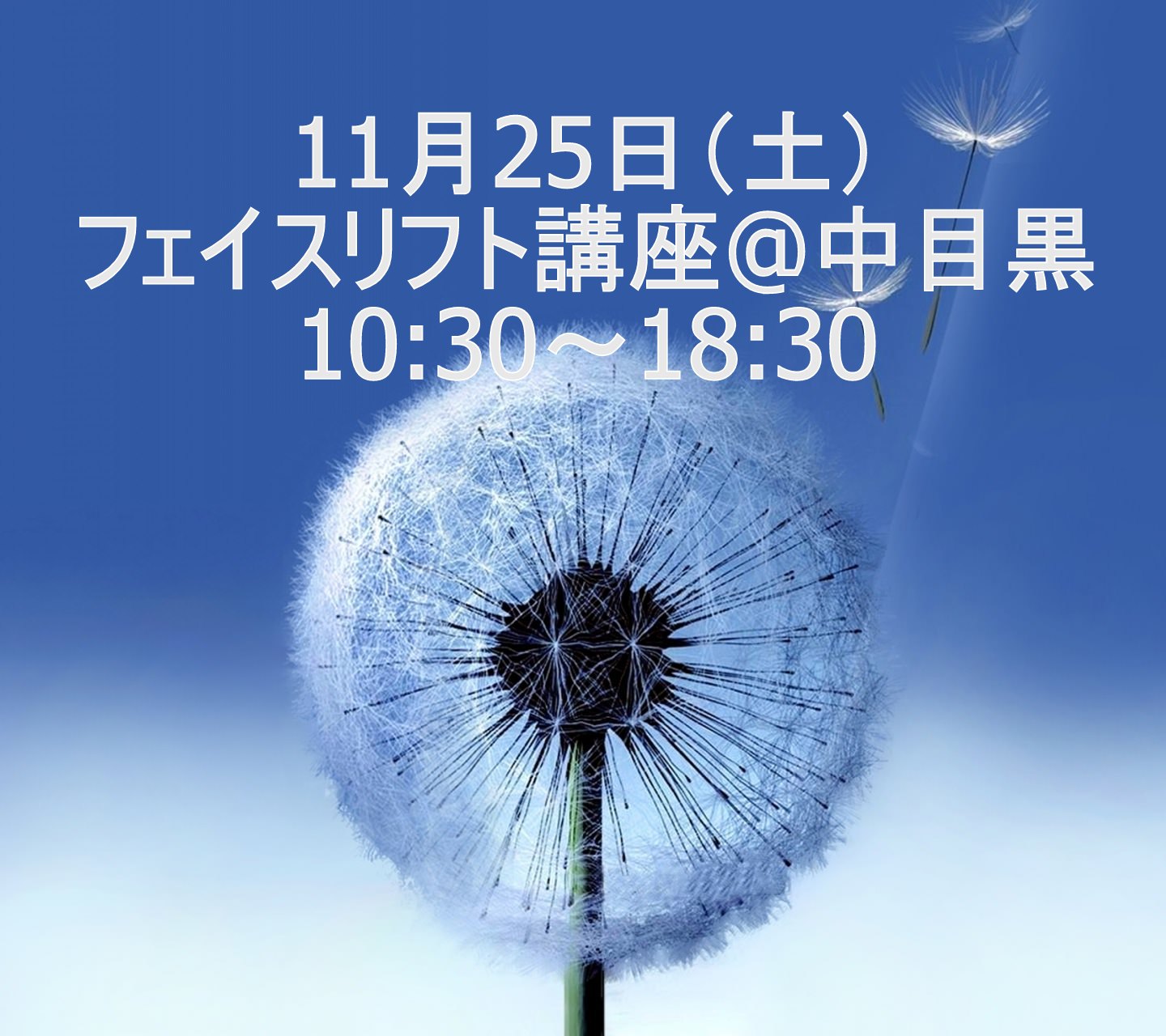 フェイスリフト講座 10:30～18:30