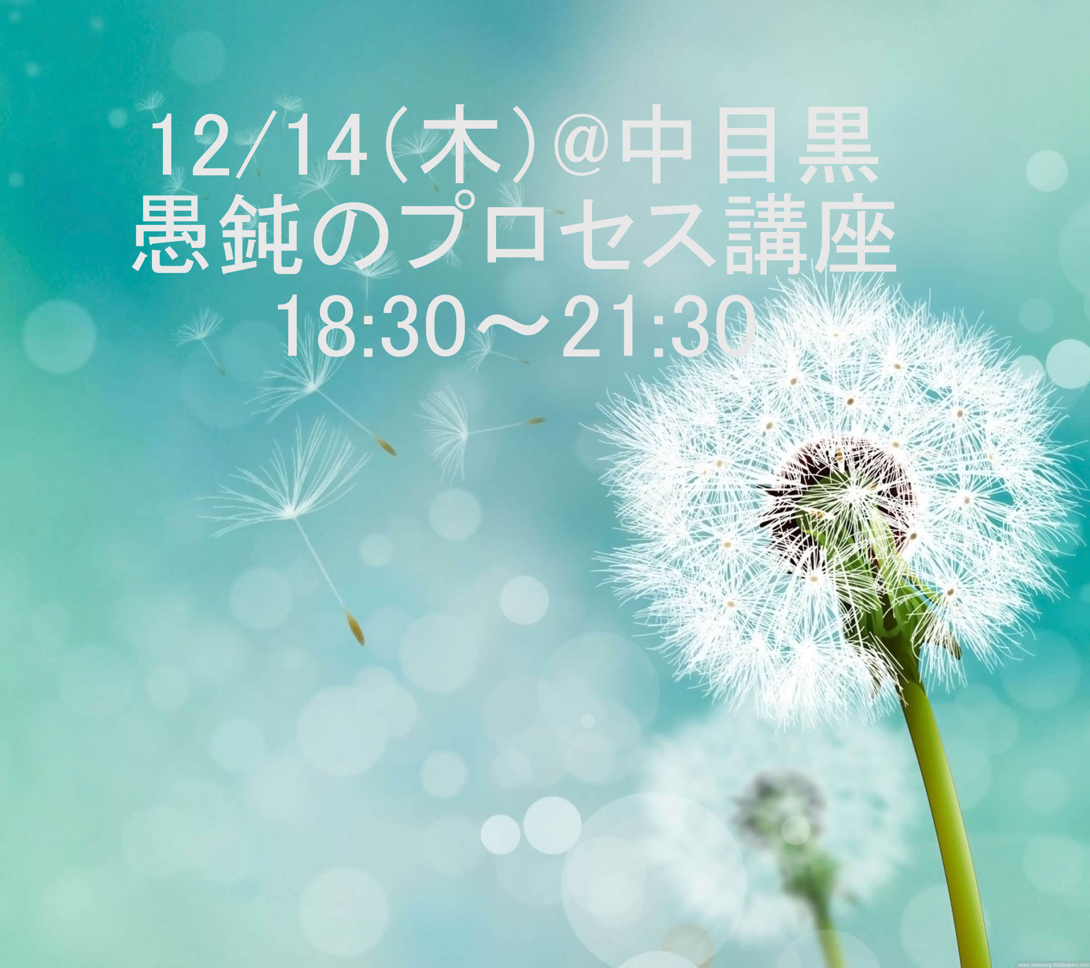 愚鈍のプロセス講座 18:30～21:30