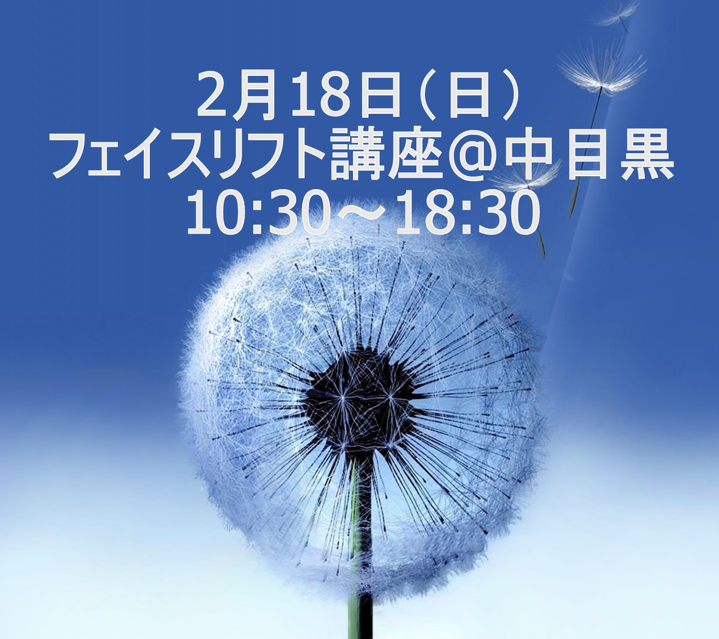 フェイスリフト講座 10:30～18:30