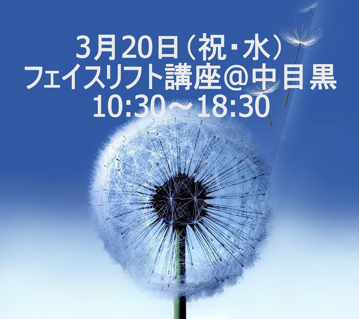 フェイスリフト講座　10:30～18:30