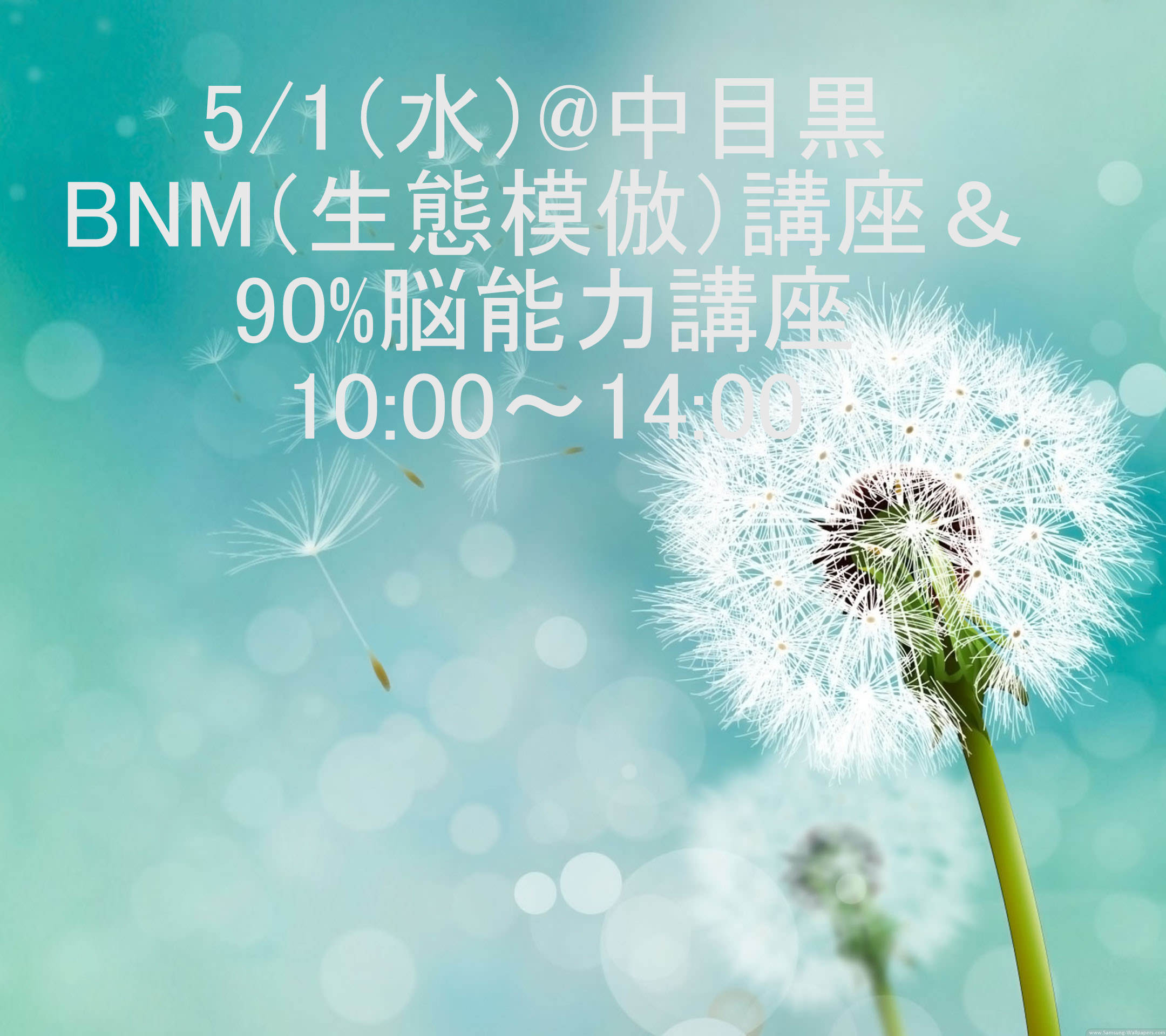 BMM（生態模倣）講座 ＆90％脳能力講座  10:00～14:00