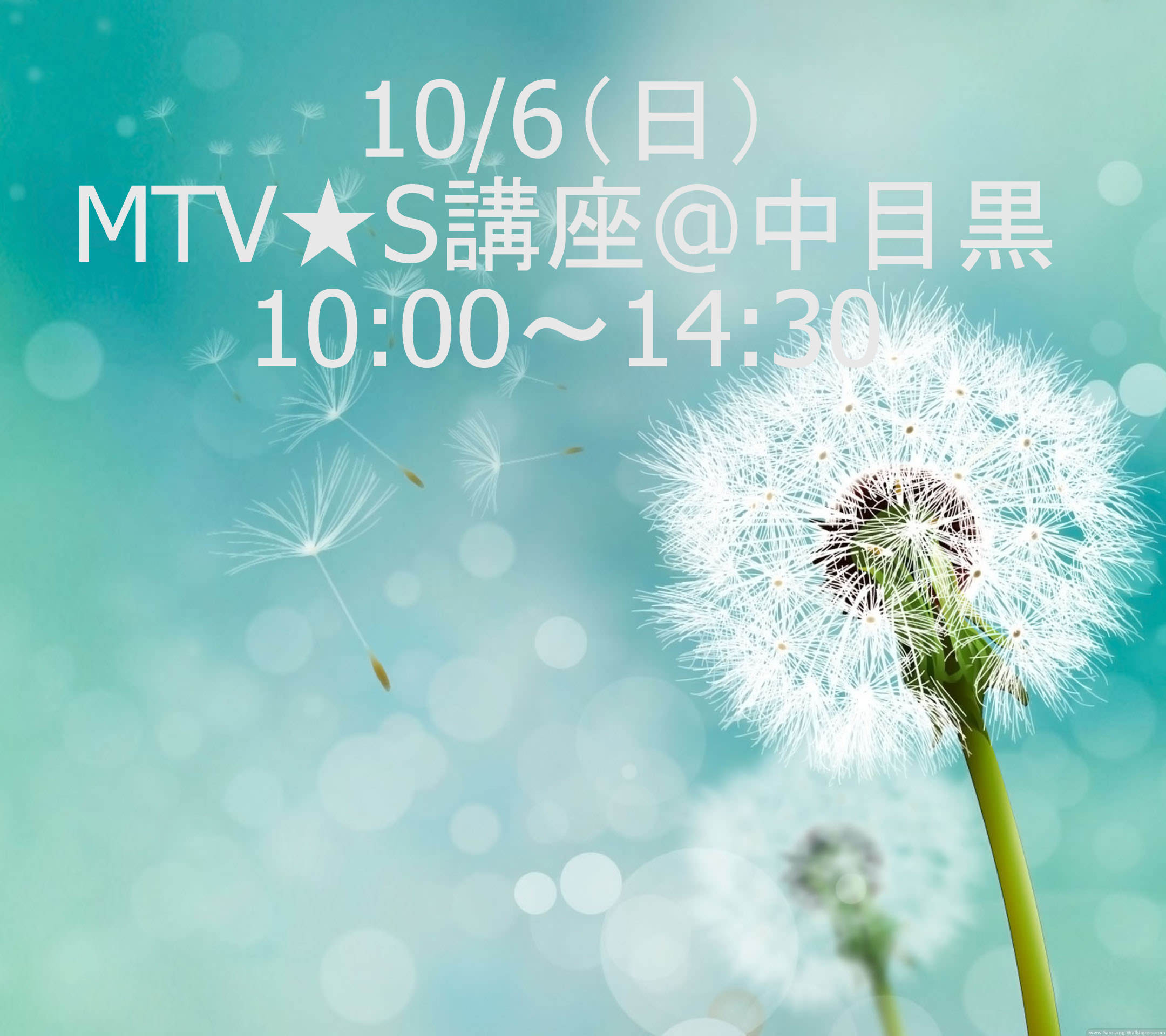 MTV★S講座