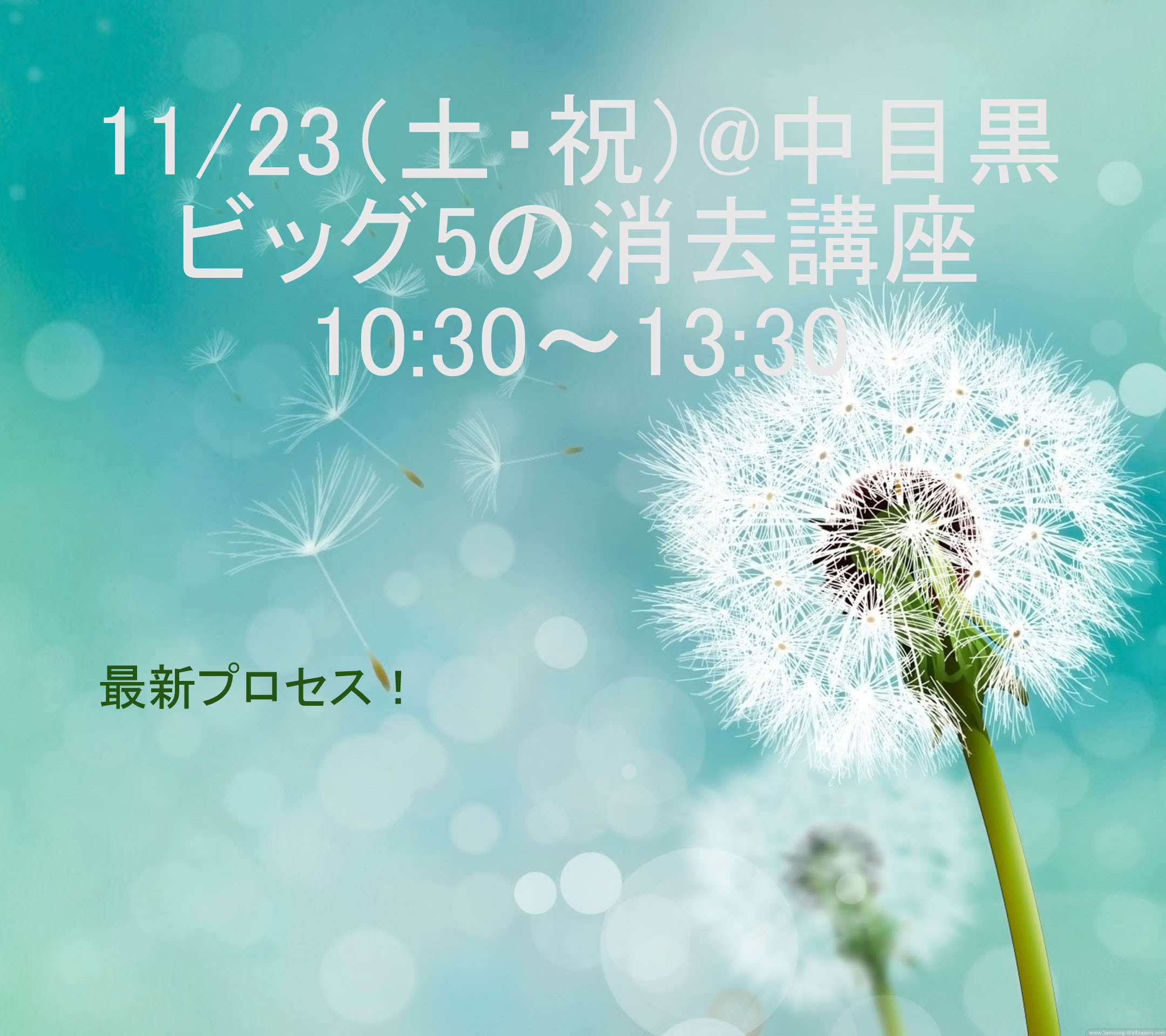 ビッグ5の消去講座