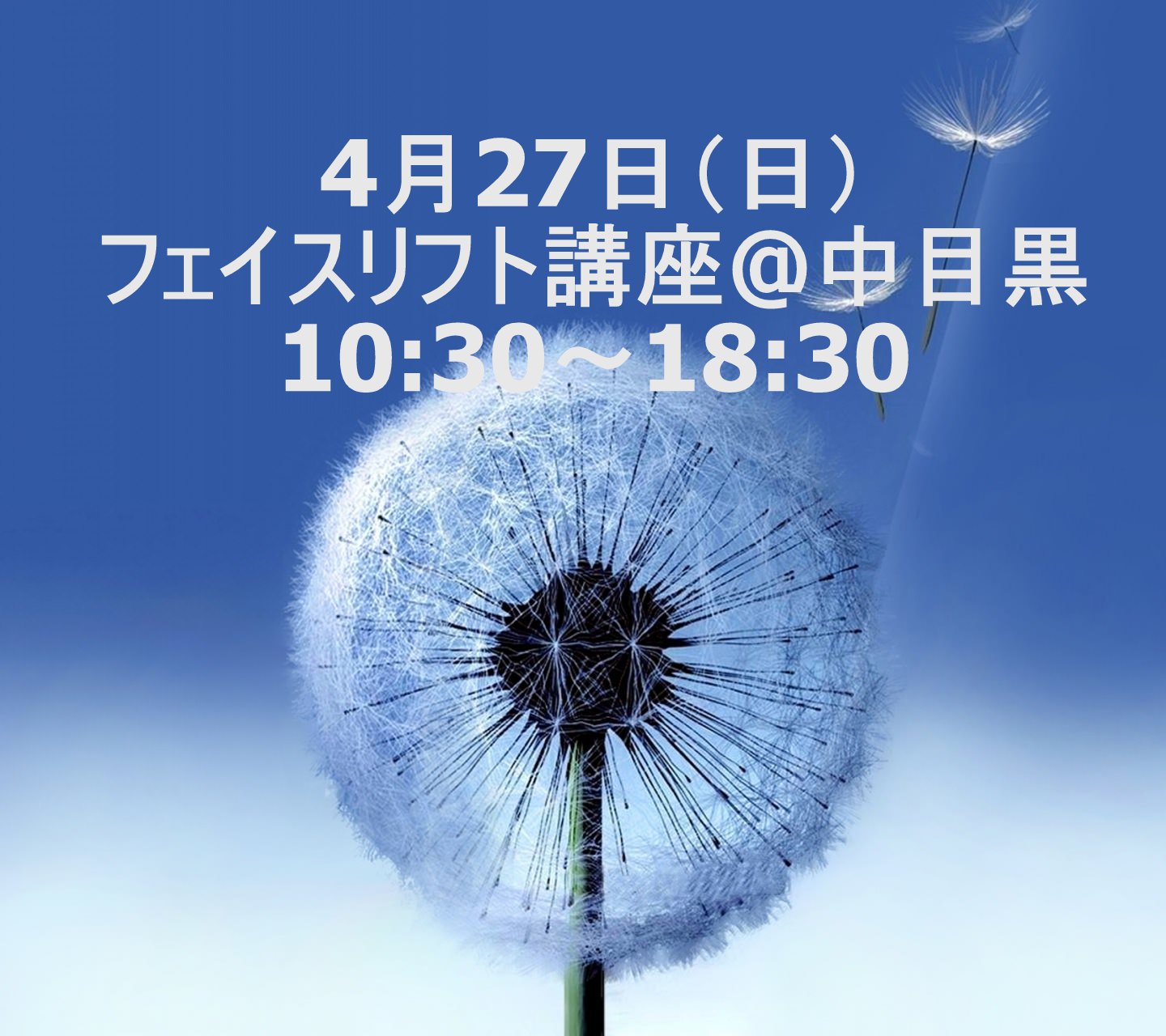 フェイスリフト講座 10:30~18:30 