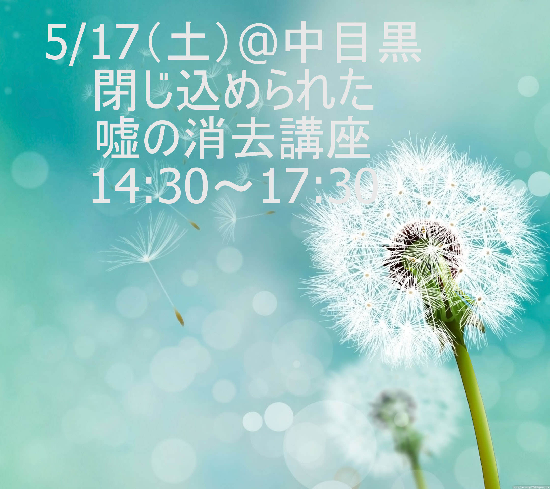 閉じ込められた嘘の消去講座 