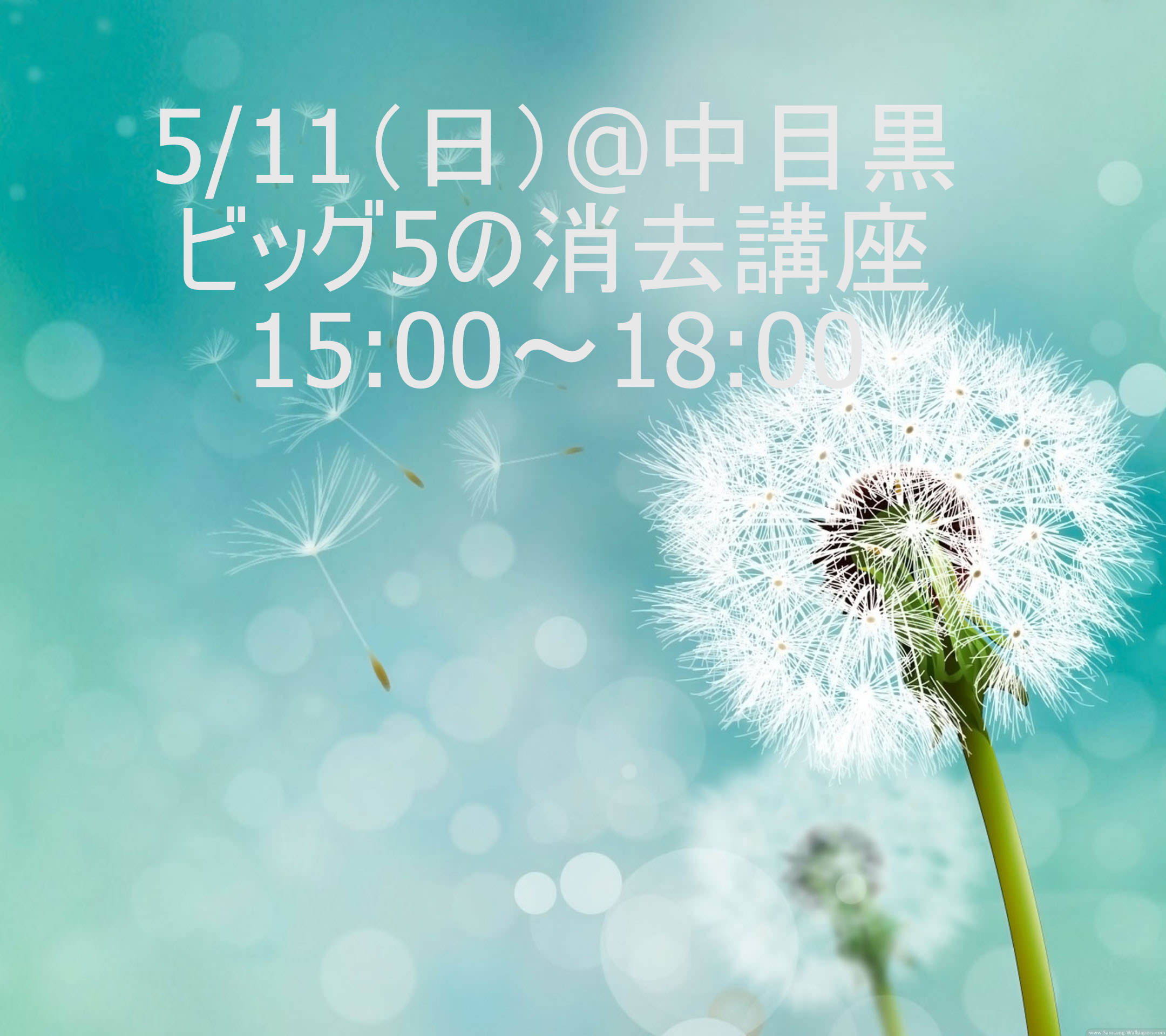 ビッグ５の消去講座
