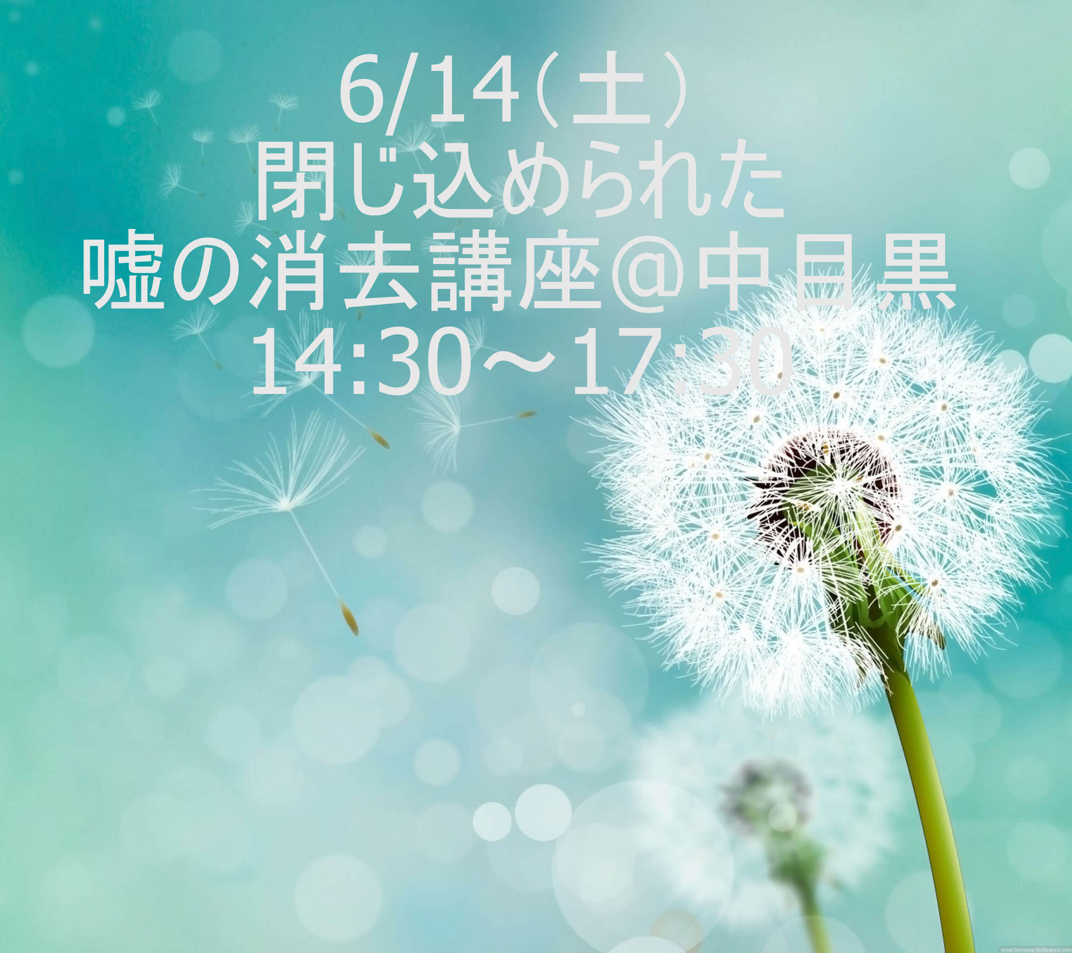 閉じ込められた嘘の消去講座 