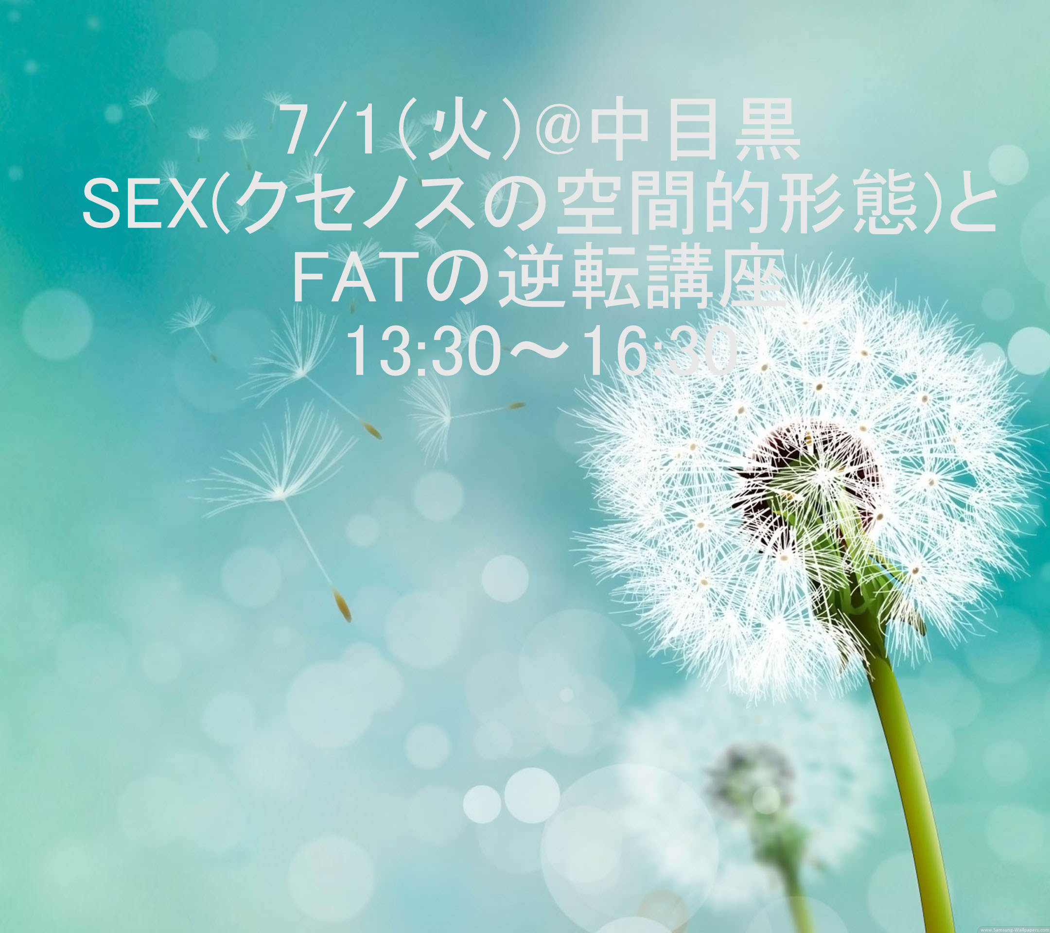 SEX（クセノスの空間的形態）とFATの逆転講座