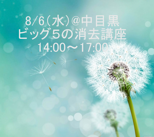 ビッグ5の消去講座
