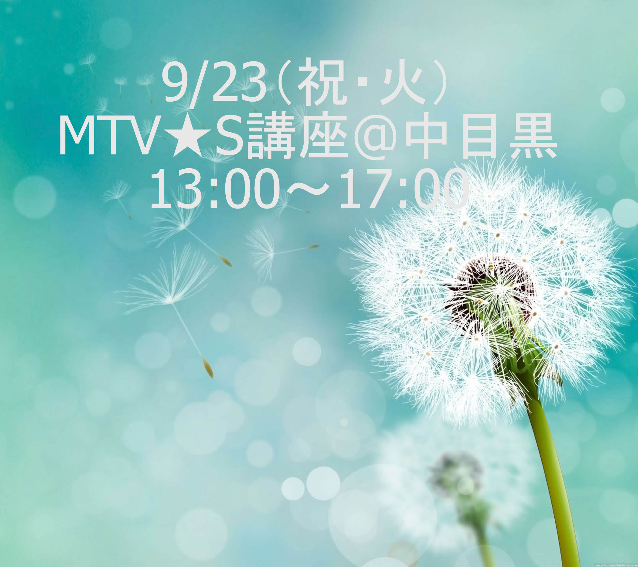 万能薬的プロセス　MTV★S講座