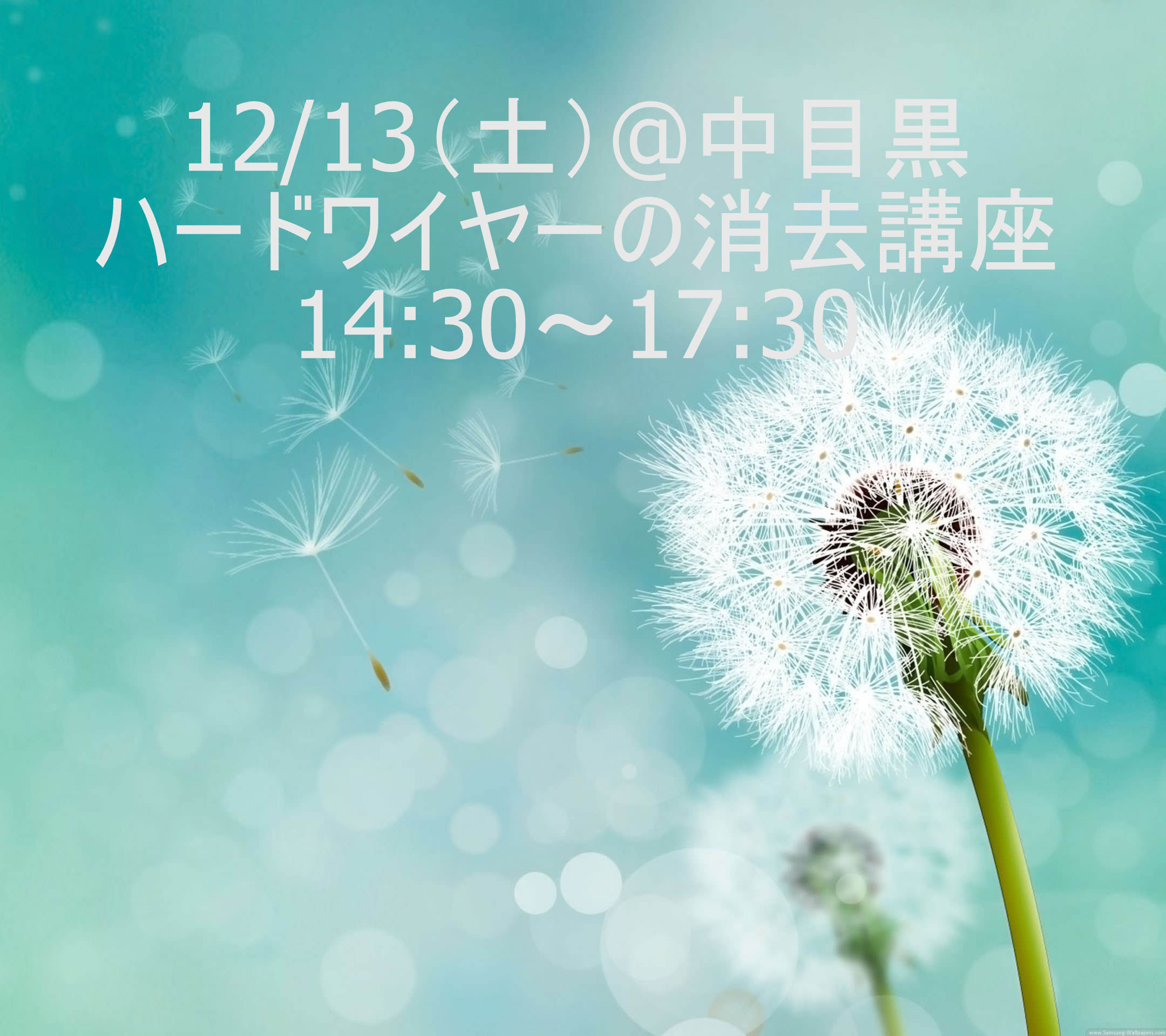 ハードワイヤーの消去講座