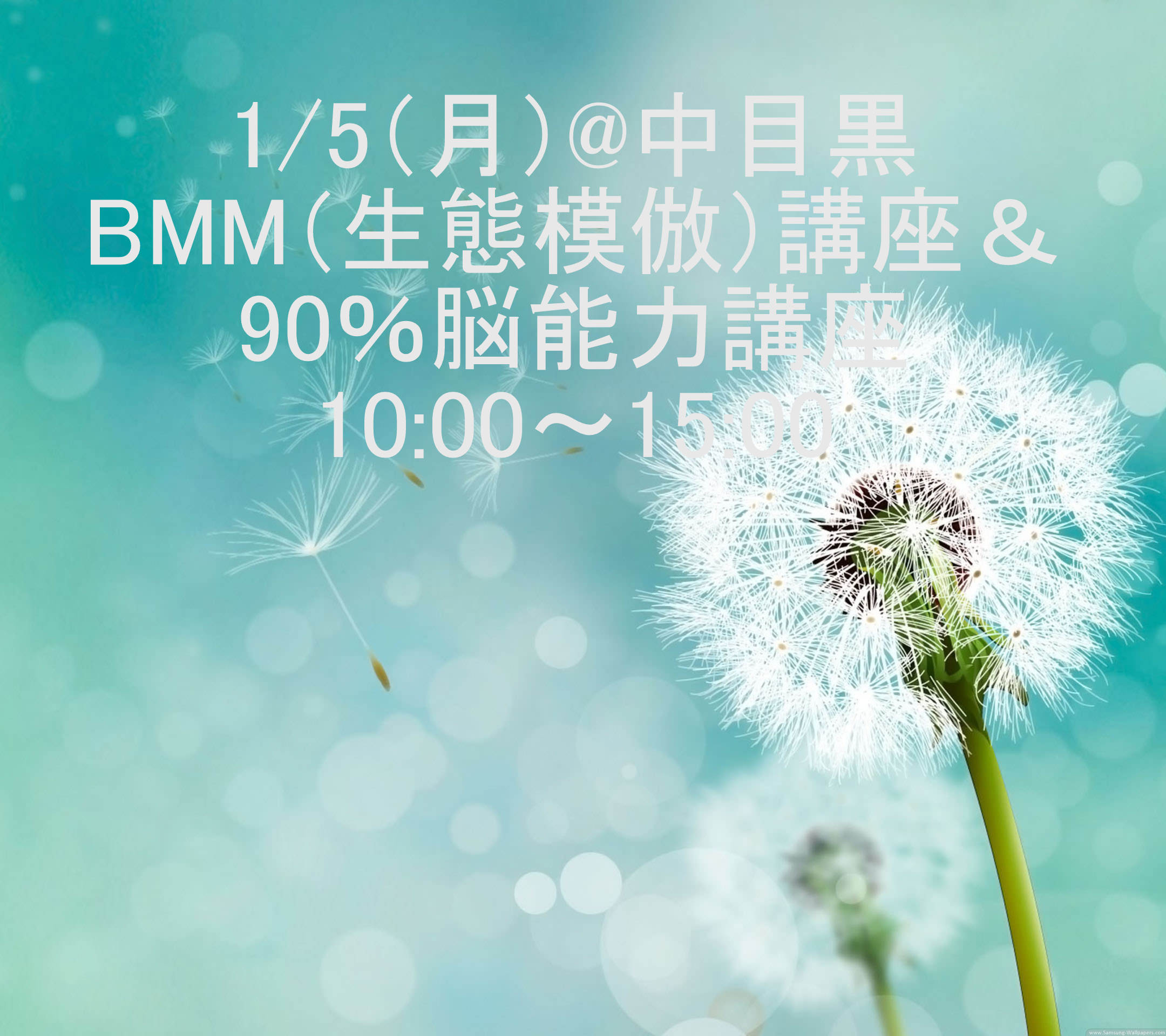 BMM講座＆90％脳能力講座 