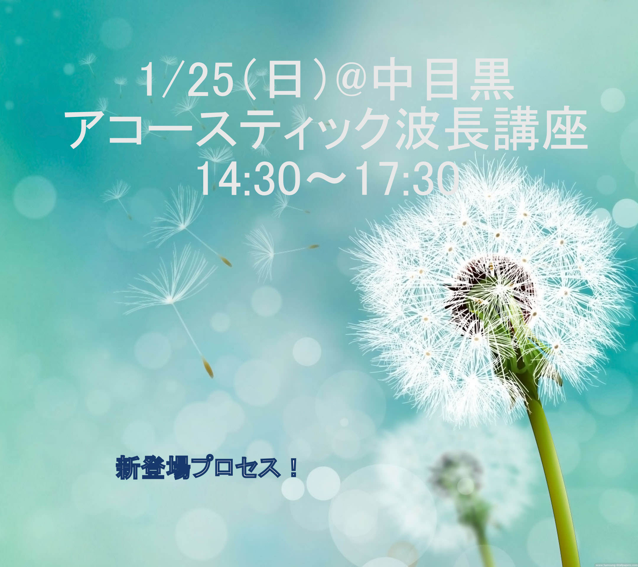 アコースティック波長講座