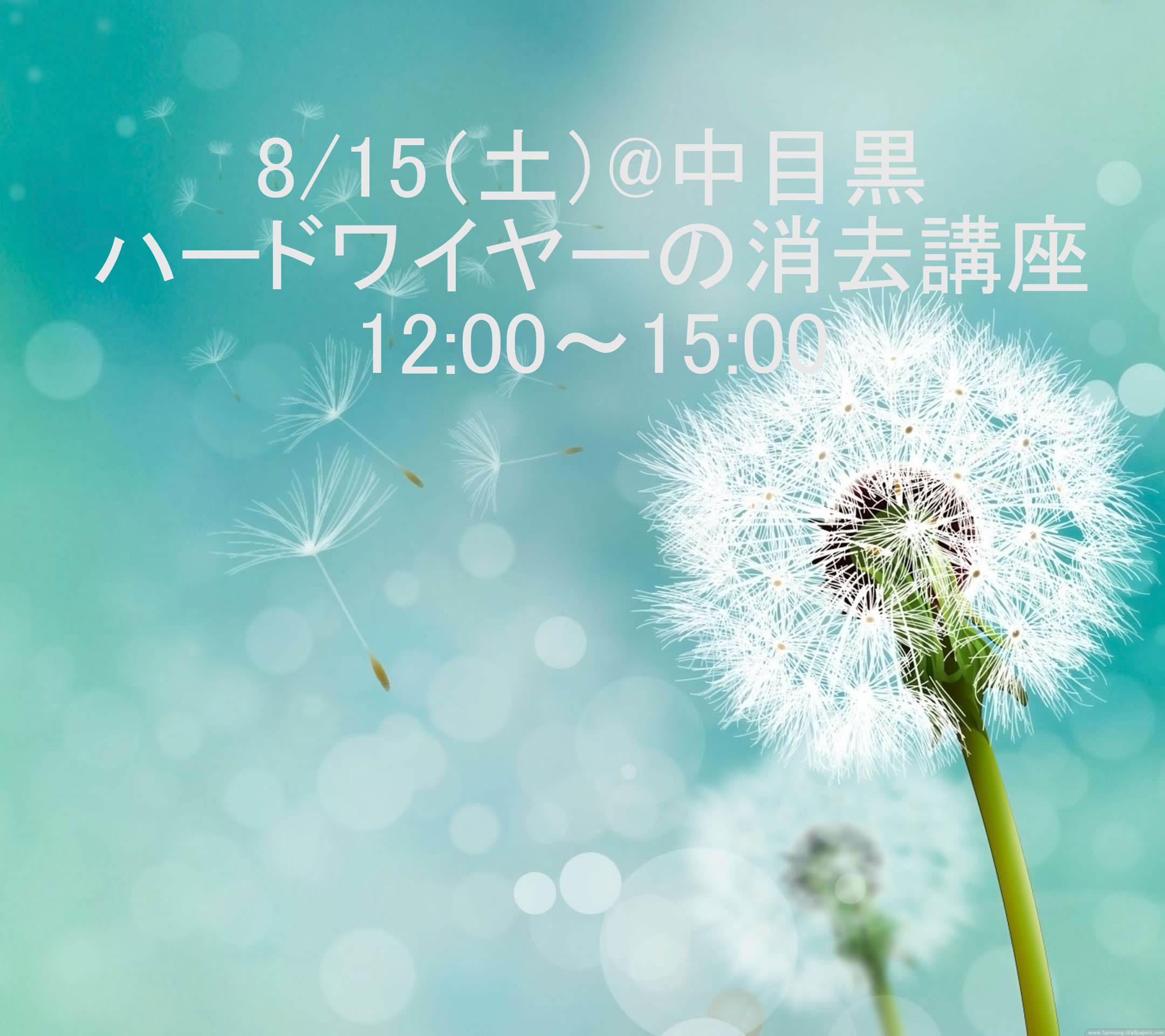 ハードワイヤーの消去講座