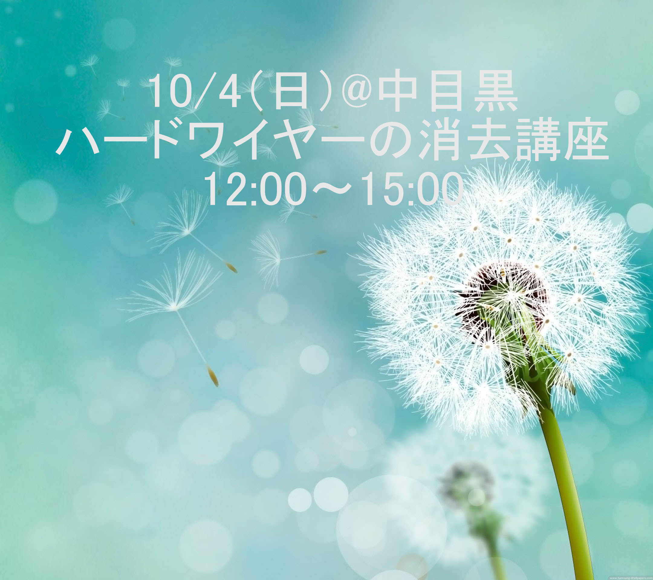 ハードワイヤーの消去講座