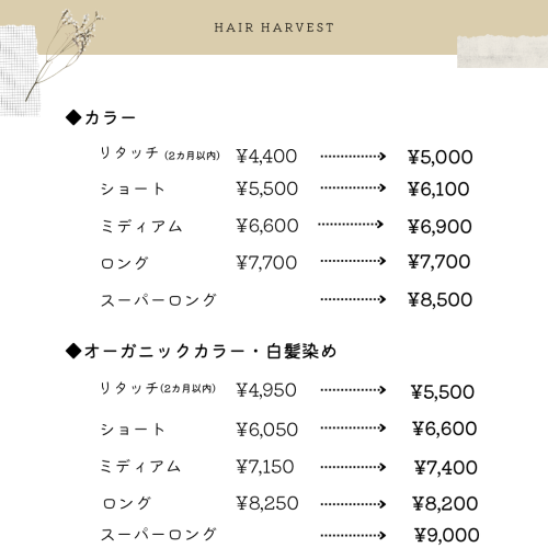 ホワイト　ベージュ　ナチュラル　美容院　ビジネス　価格改定のお知らせ　インスタグラム投稿 - 3.png