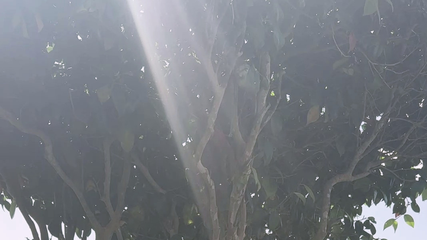 新しい私へ、歩き出す